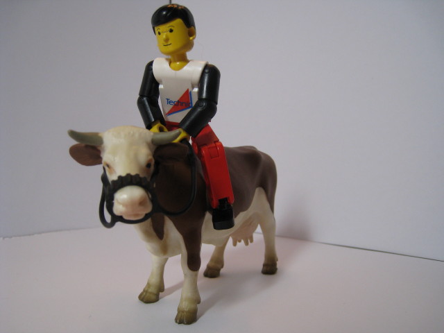 riding_on_litago_-_kims_cow.jpg
