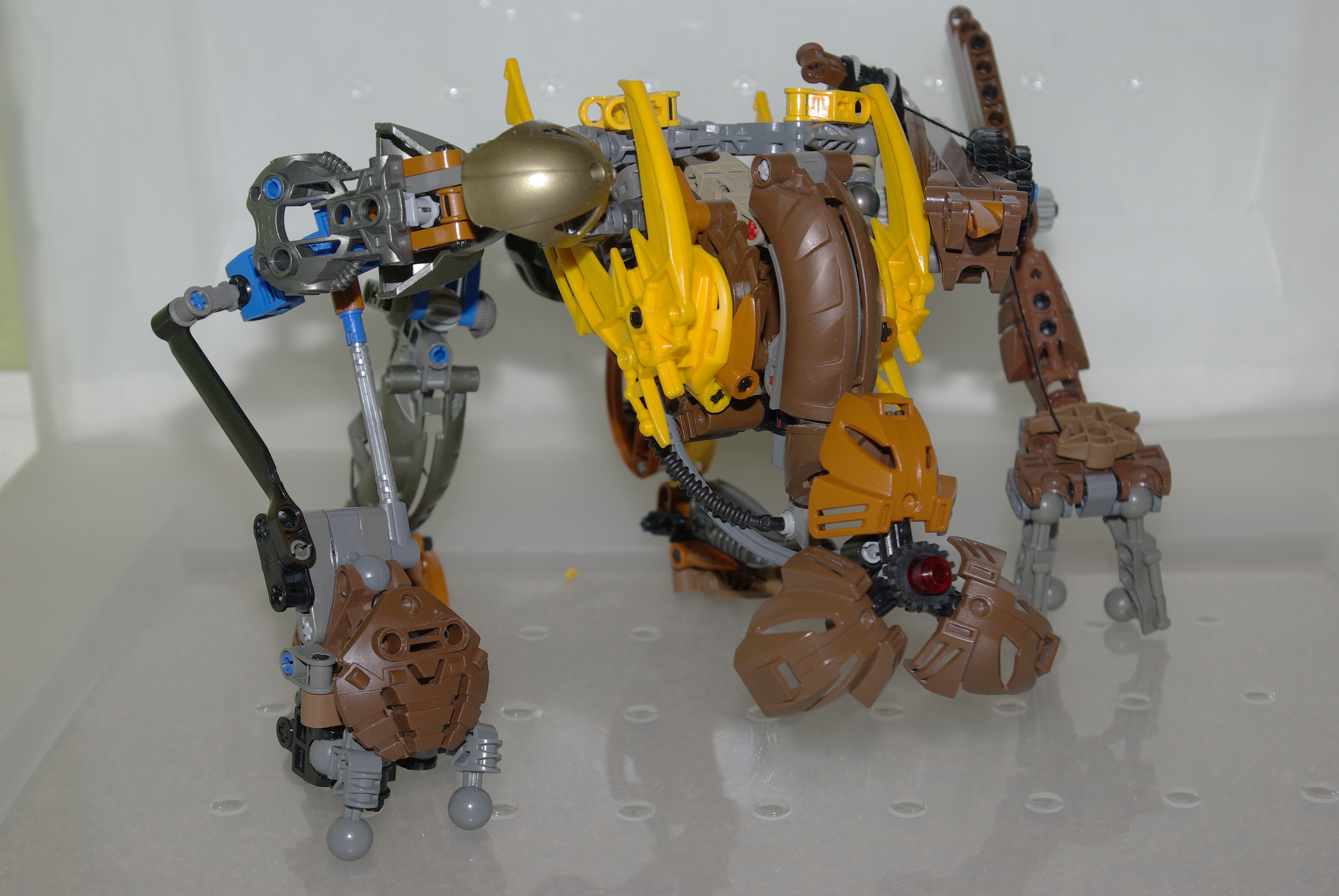 _igp5780.jpg
