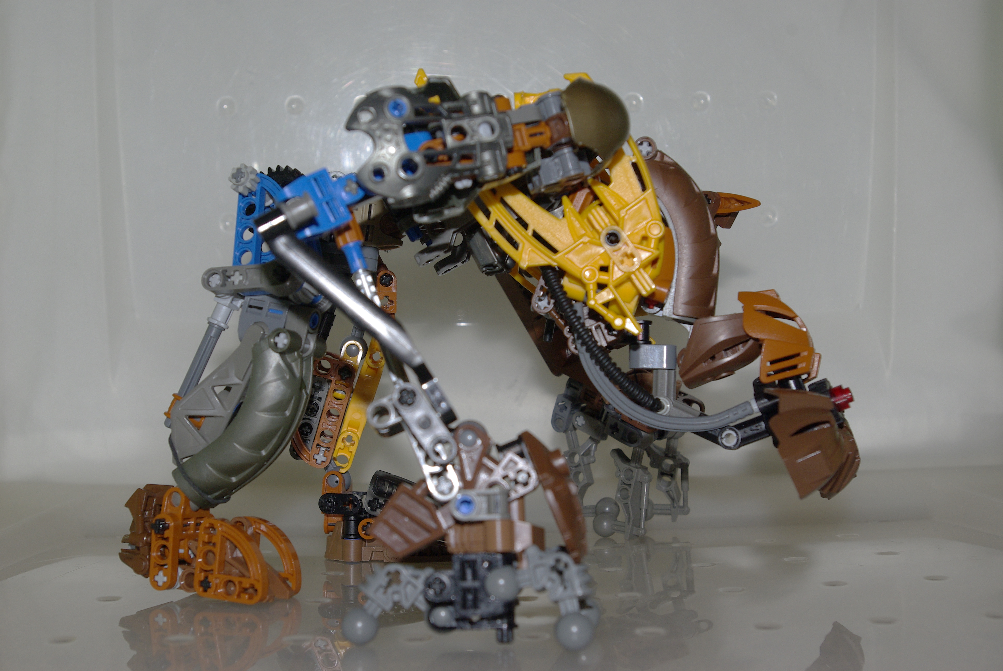 _igp5784.jpg