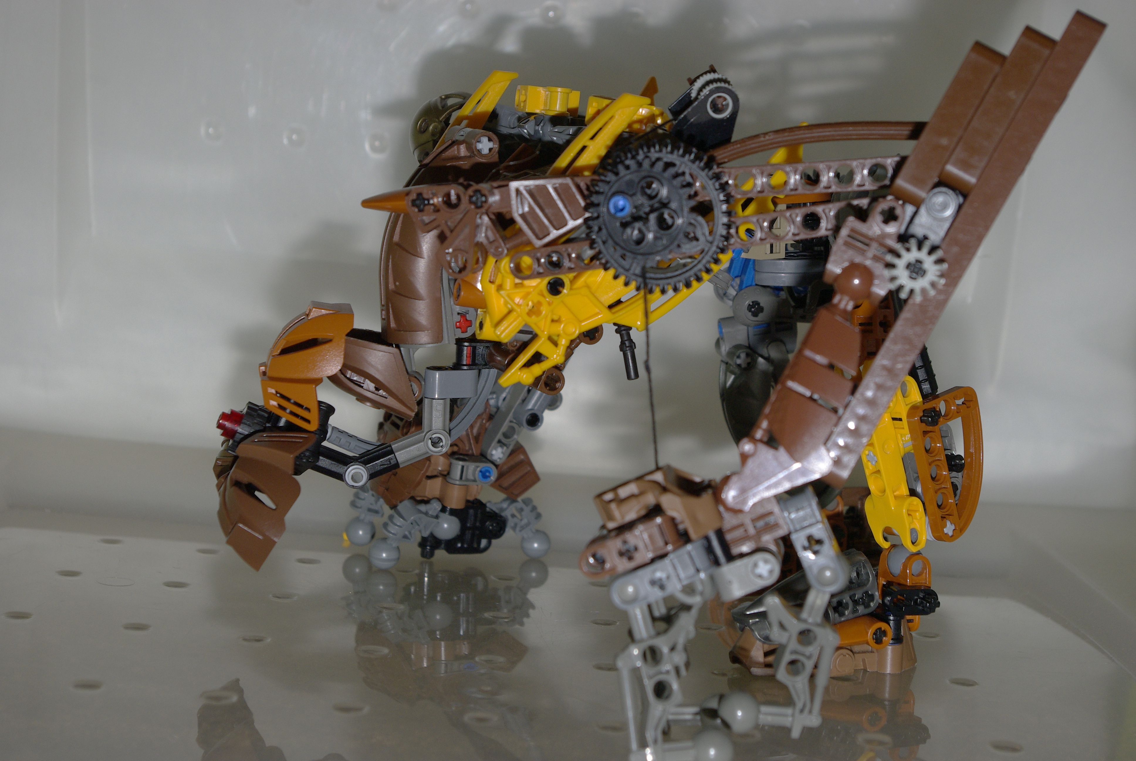 _igp5790.jpg