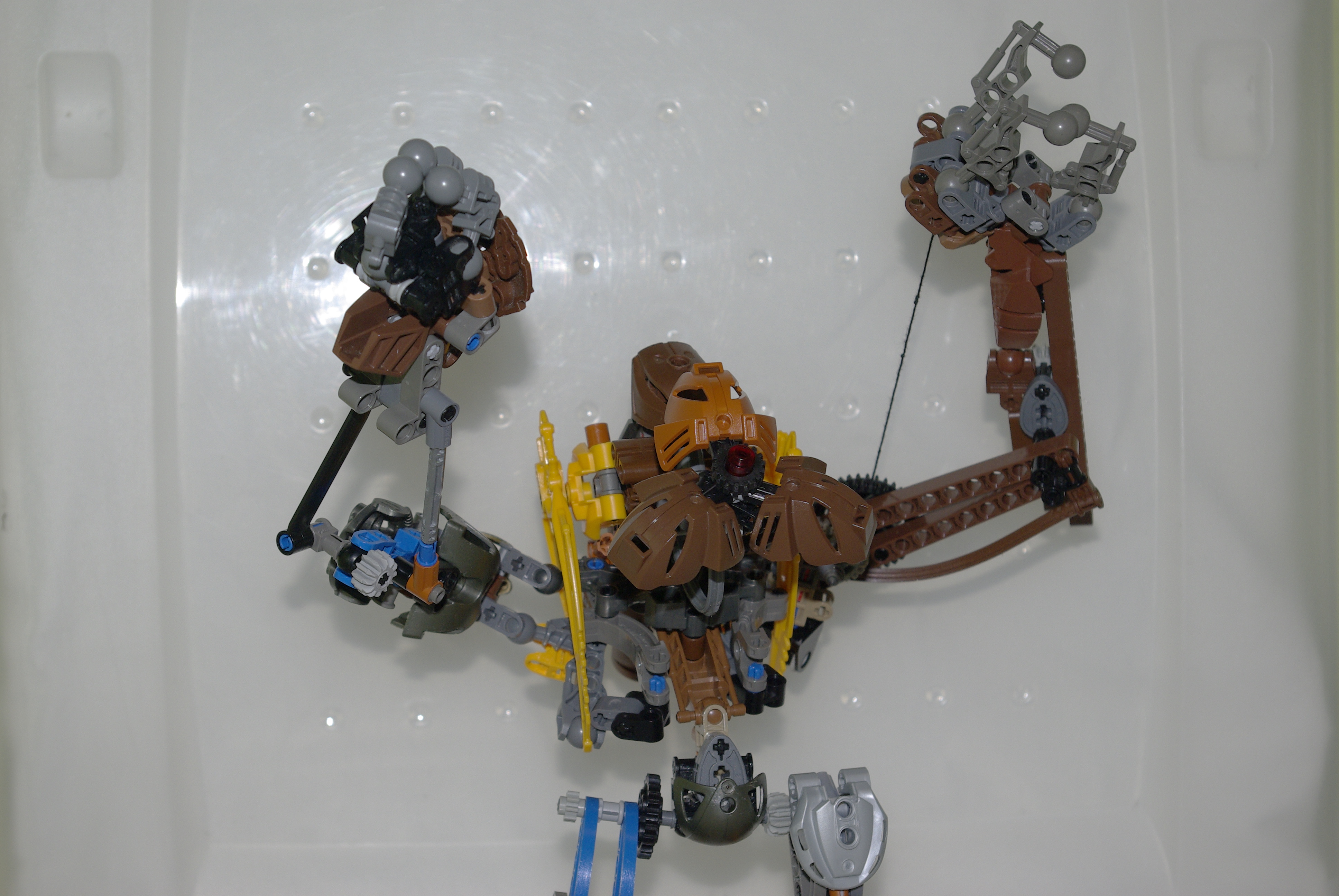 _igp5796.jpg