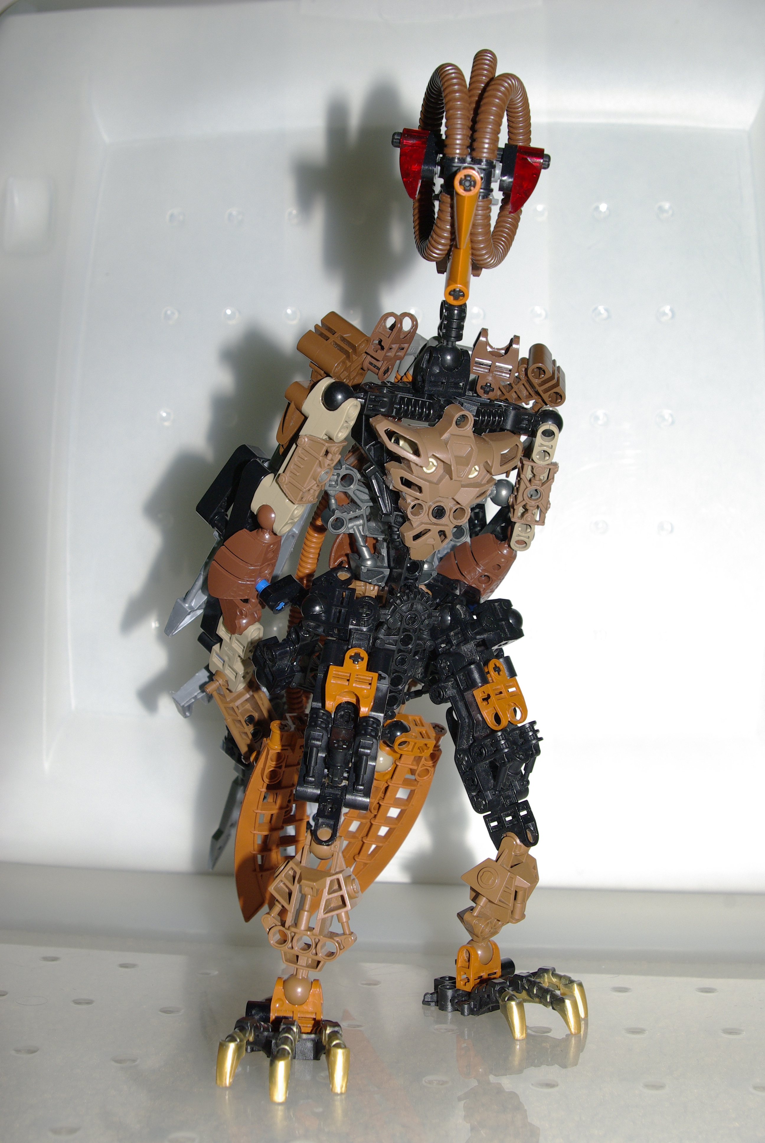 _igp3552.jpg