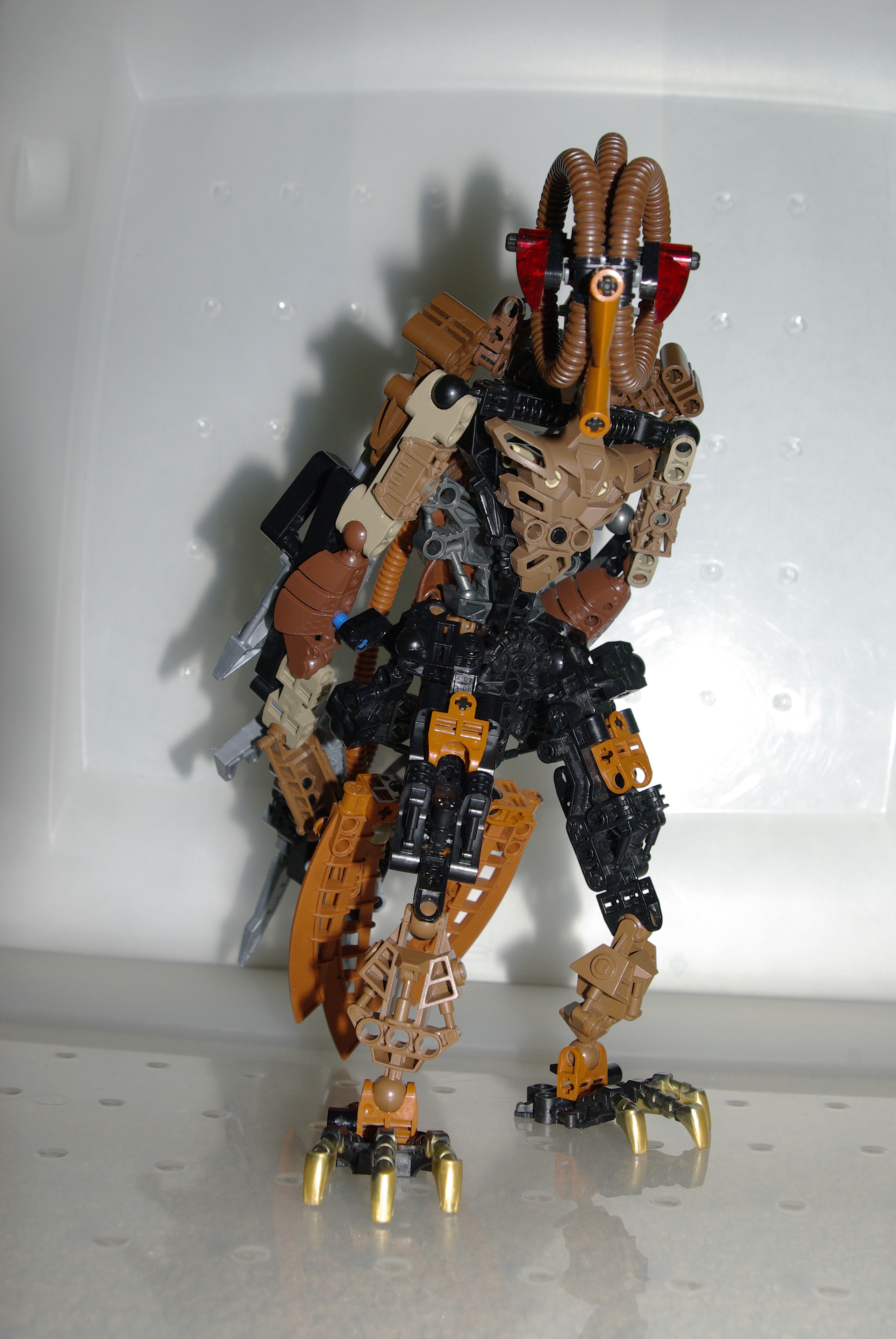 _igp3555.jpg