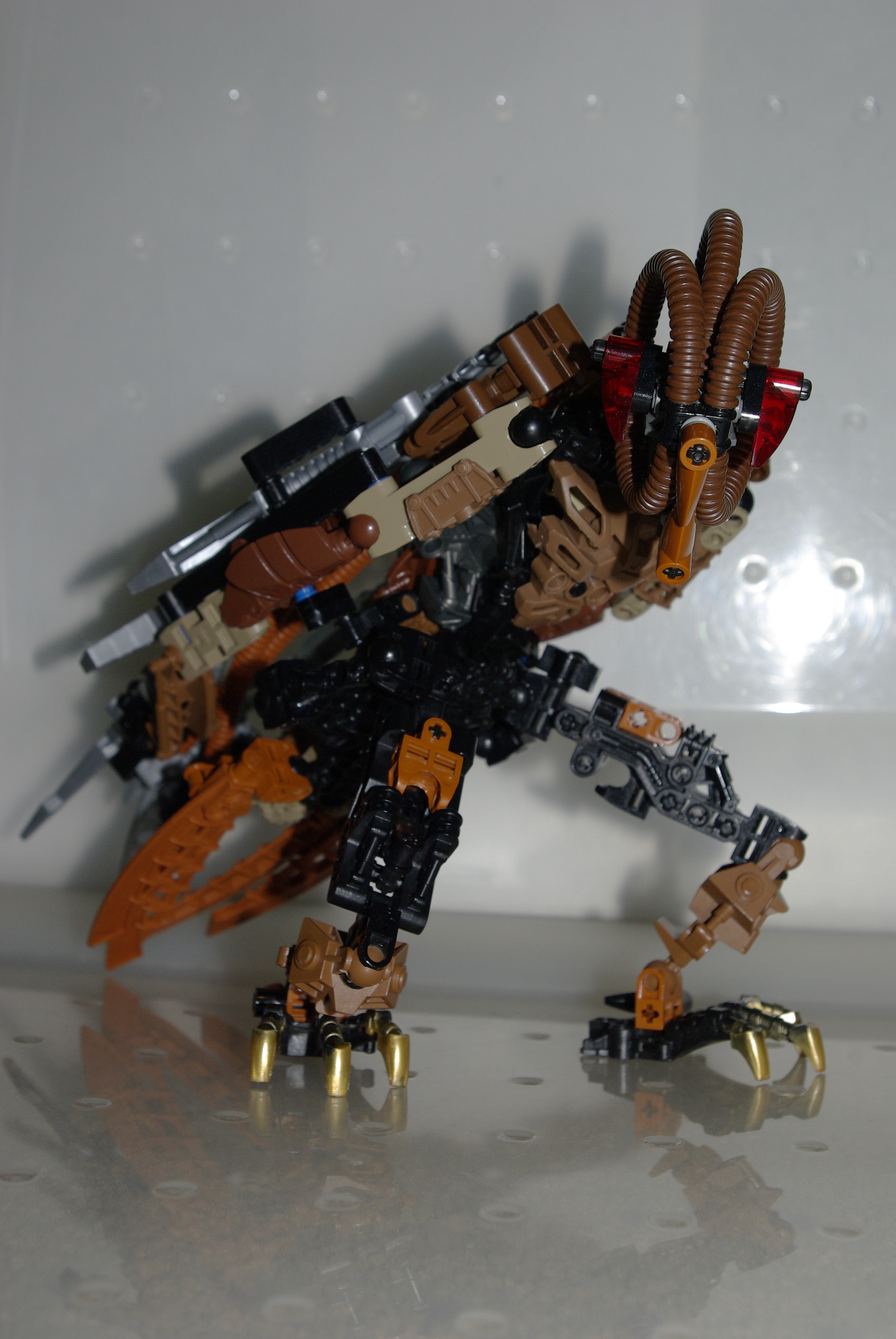 _igp3556.jpg