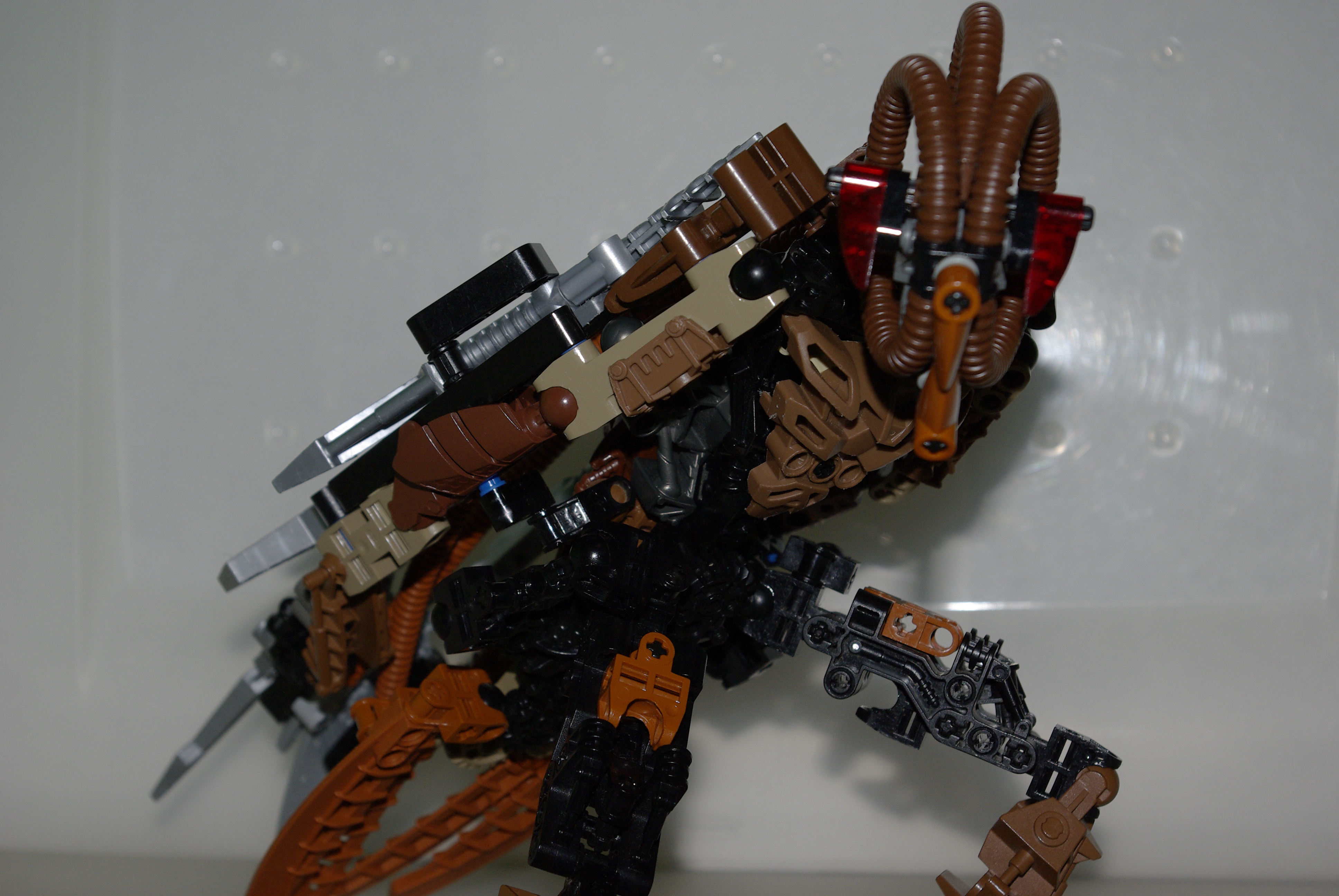 _igp3557.jpg