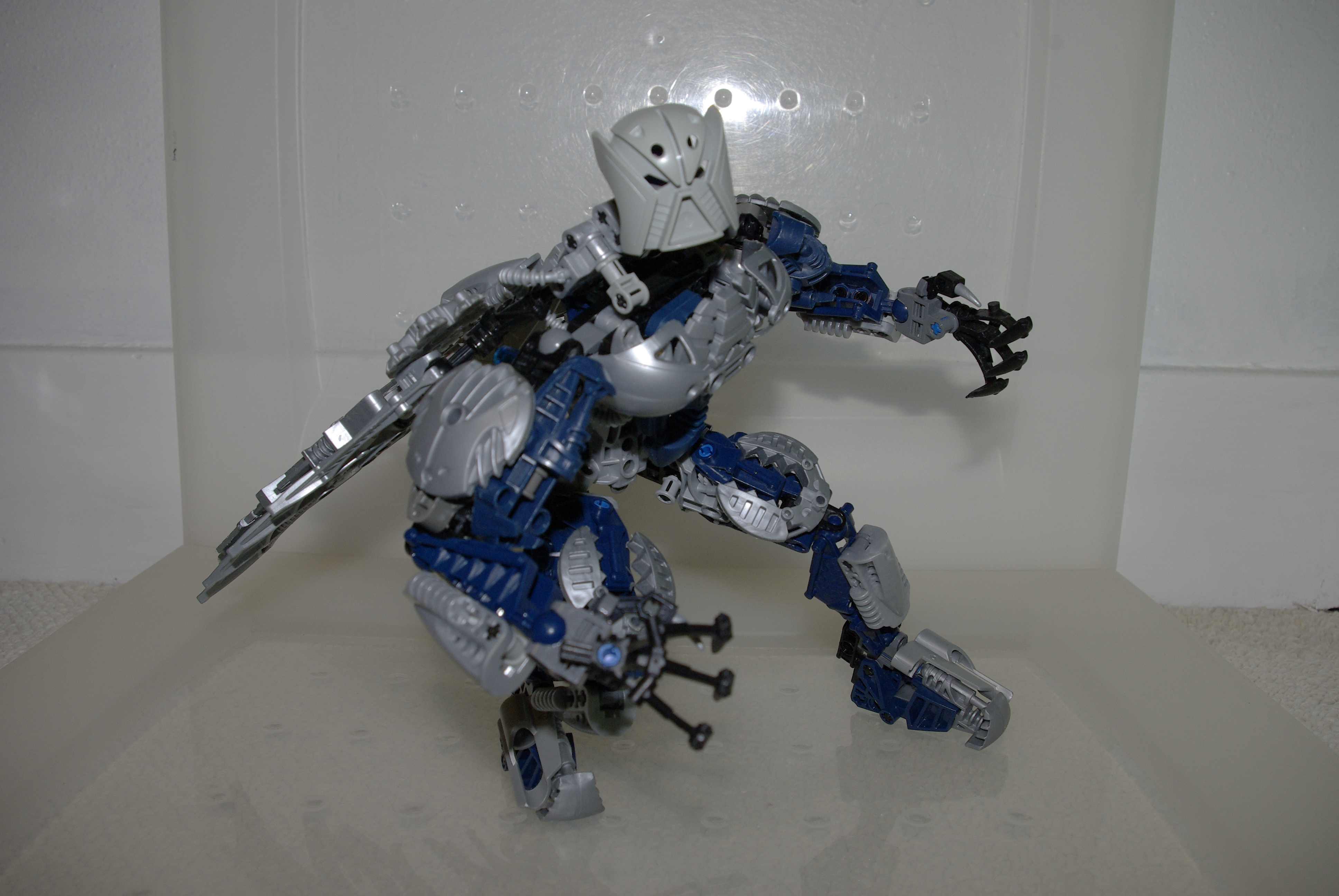 _igp5397.jpg
