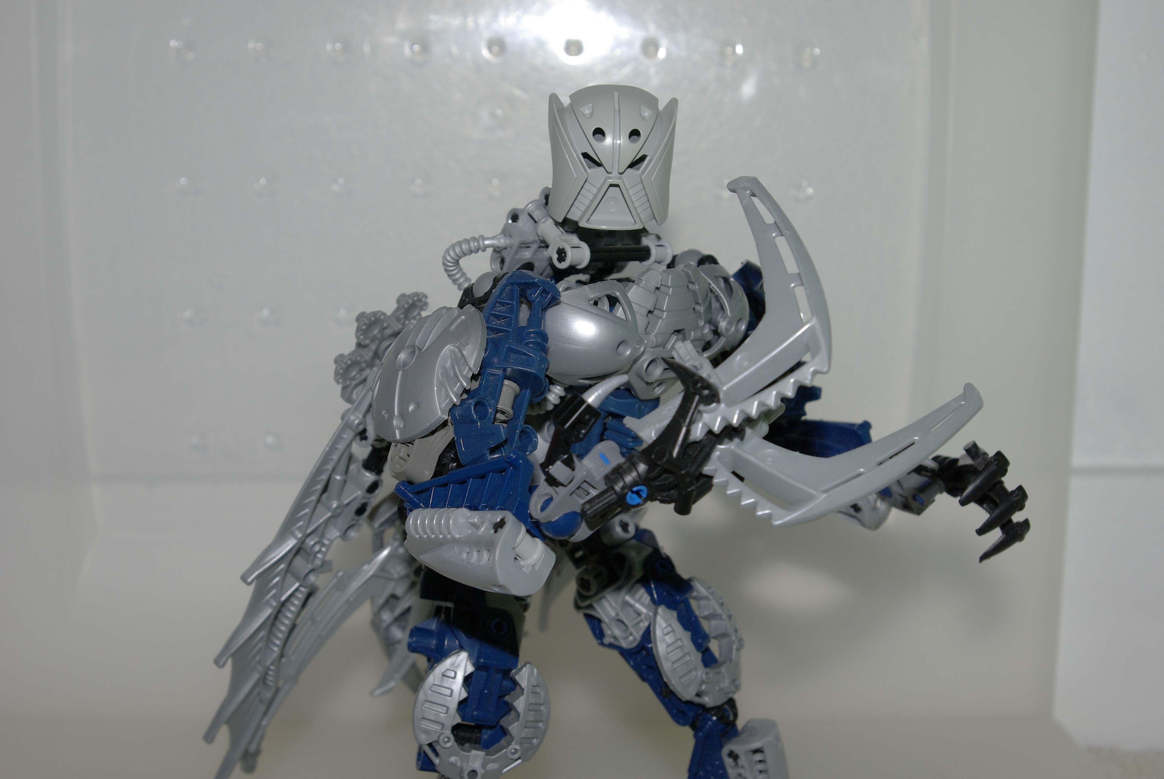 _igp5408.jpg