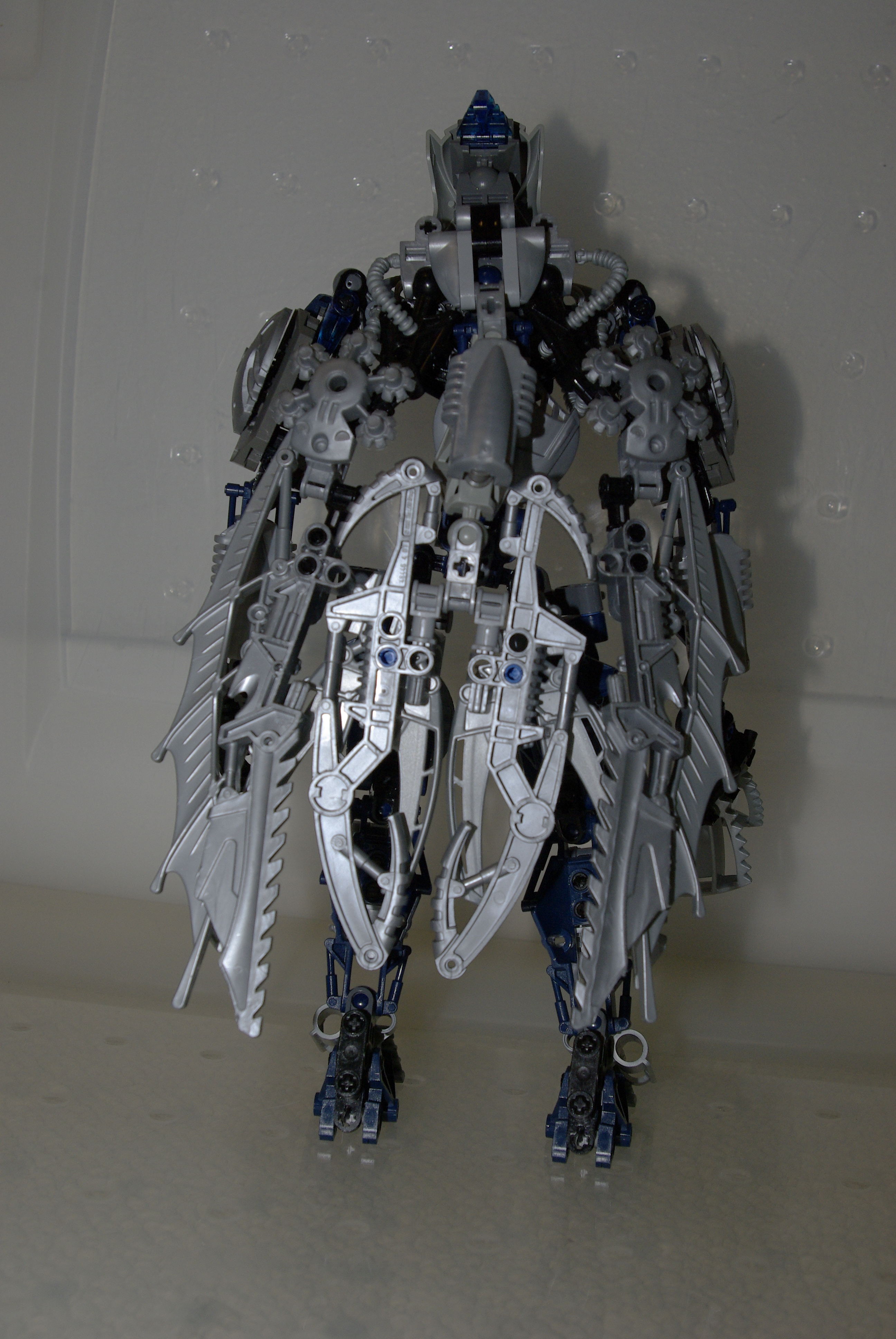 _igp5411.jpg