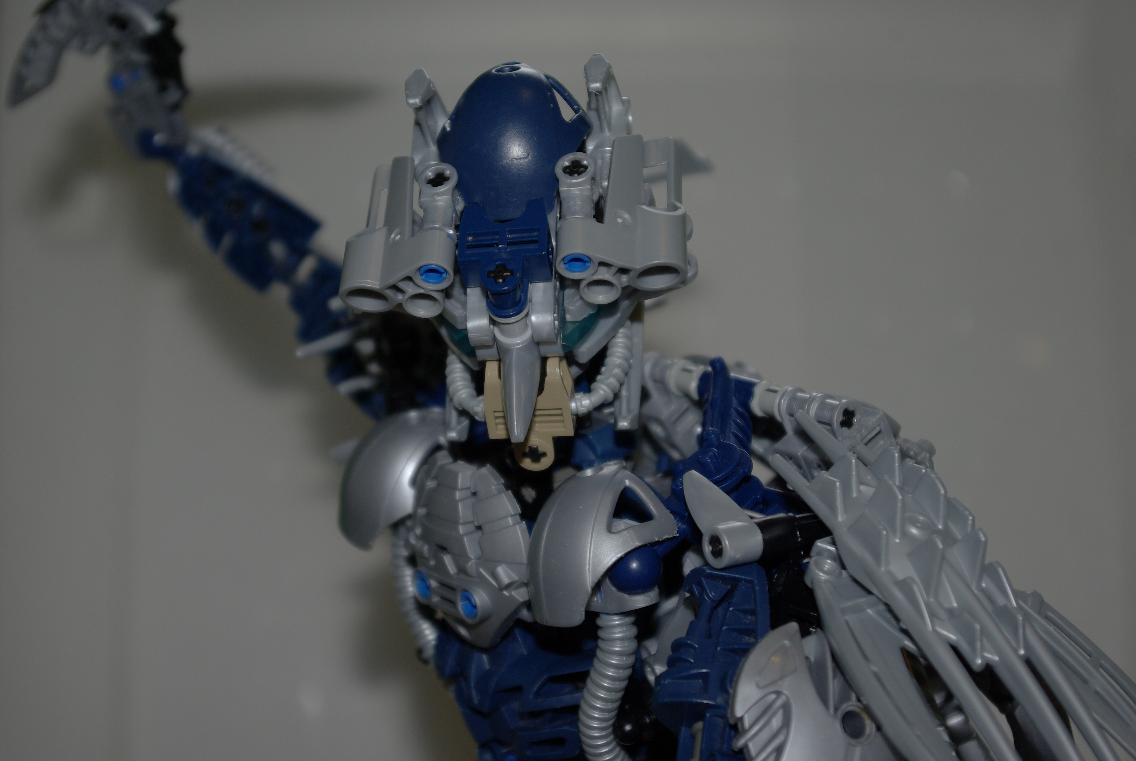 _igp4944.jpg