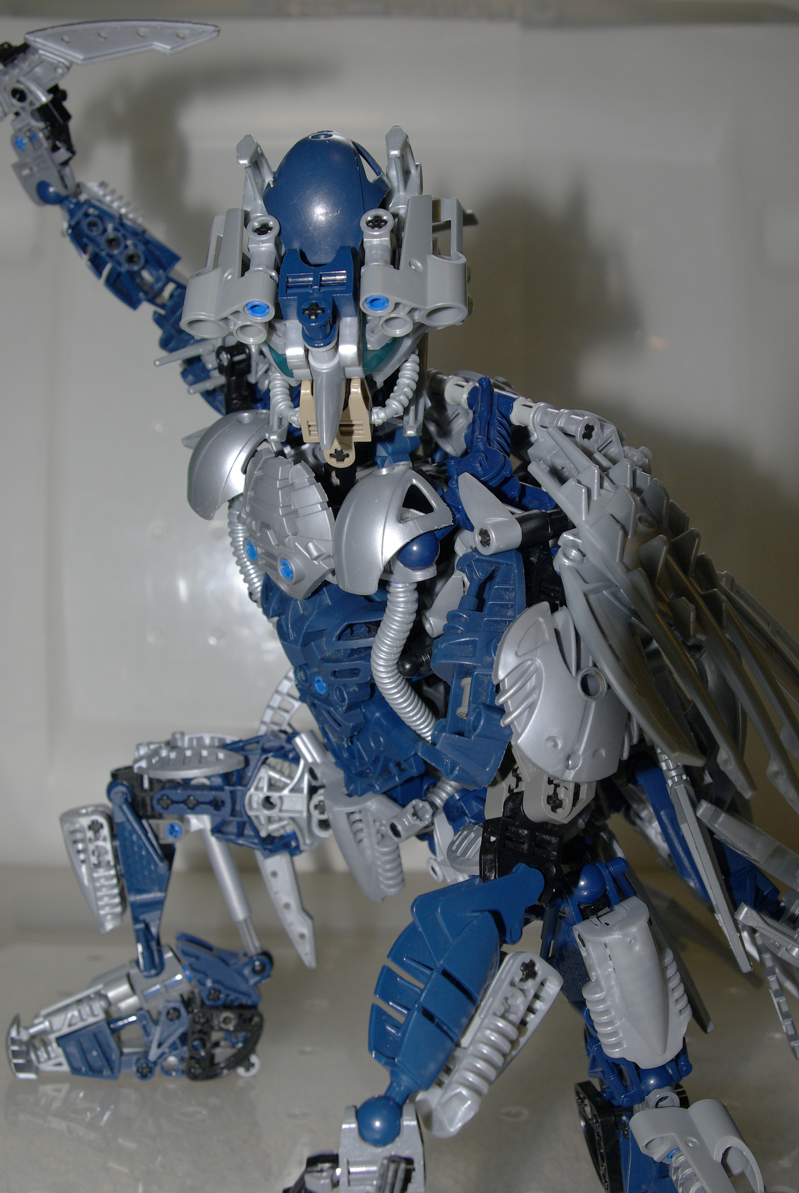 _igp4947.jpg