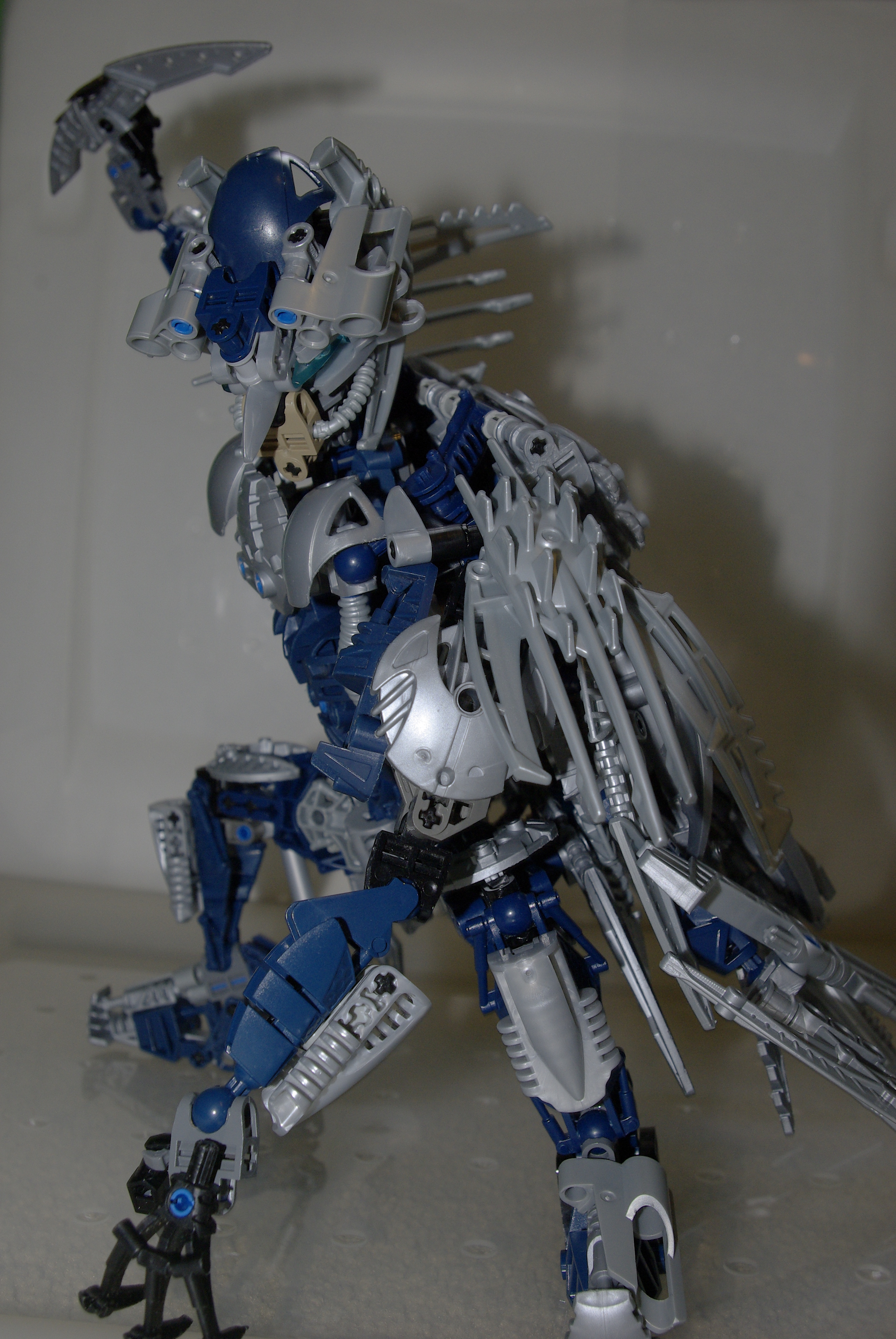_igp4949.jpg