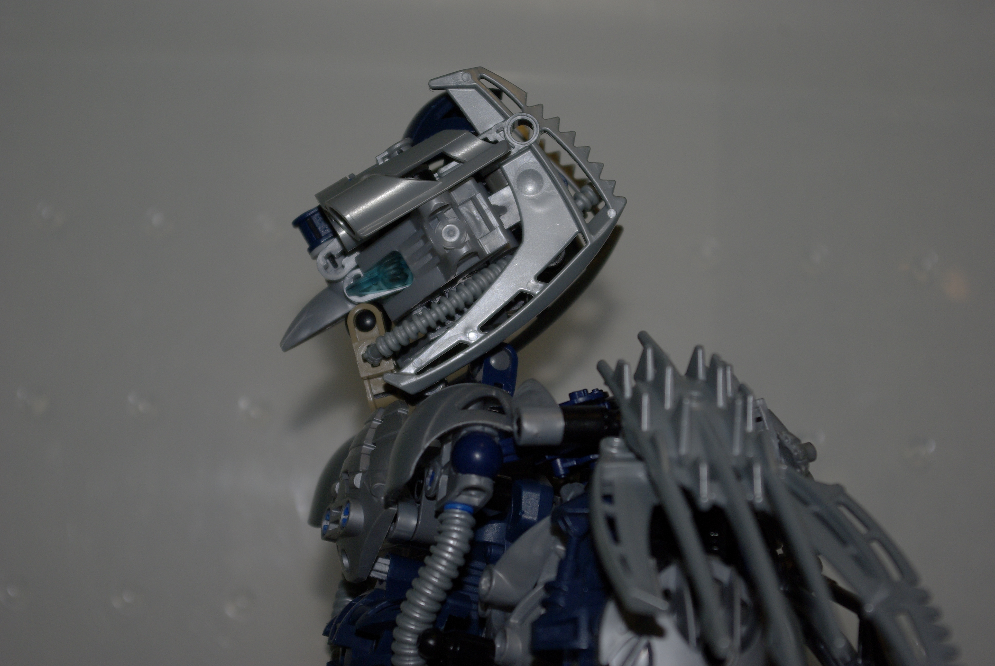 _igp4967.jpg
