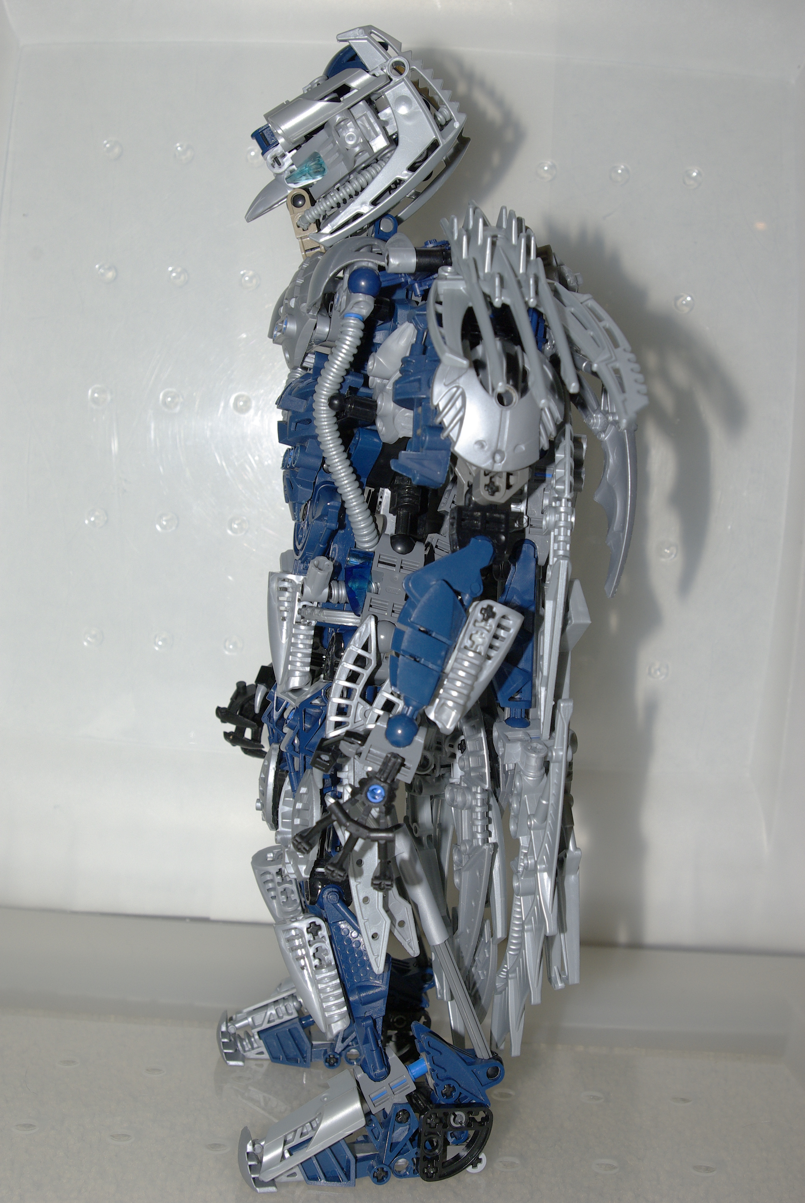 _igp4971.jpg