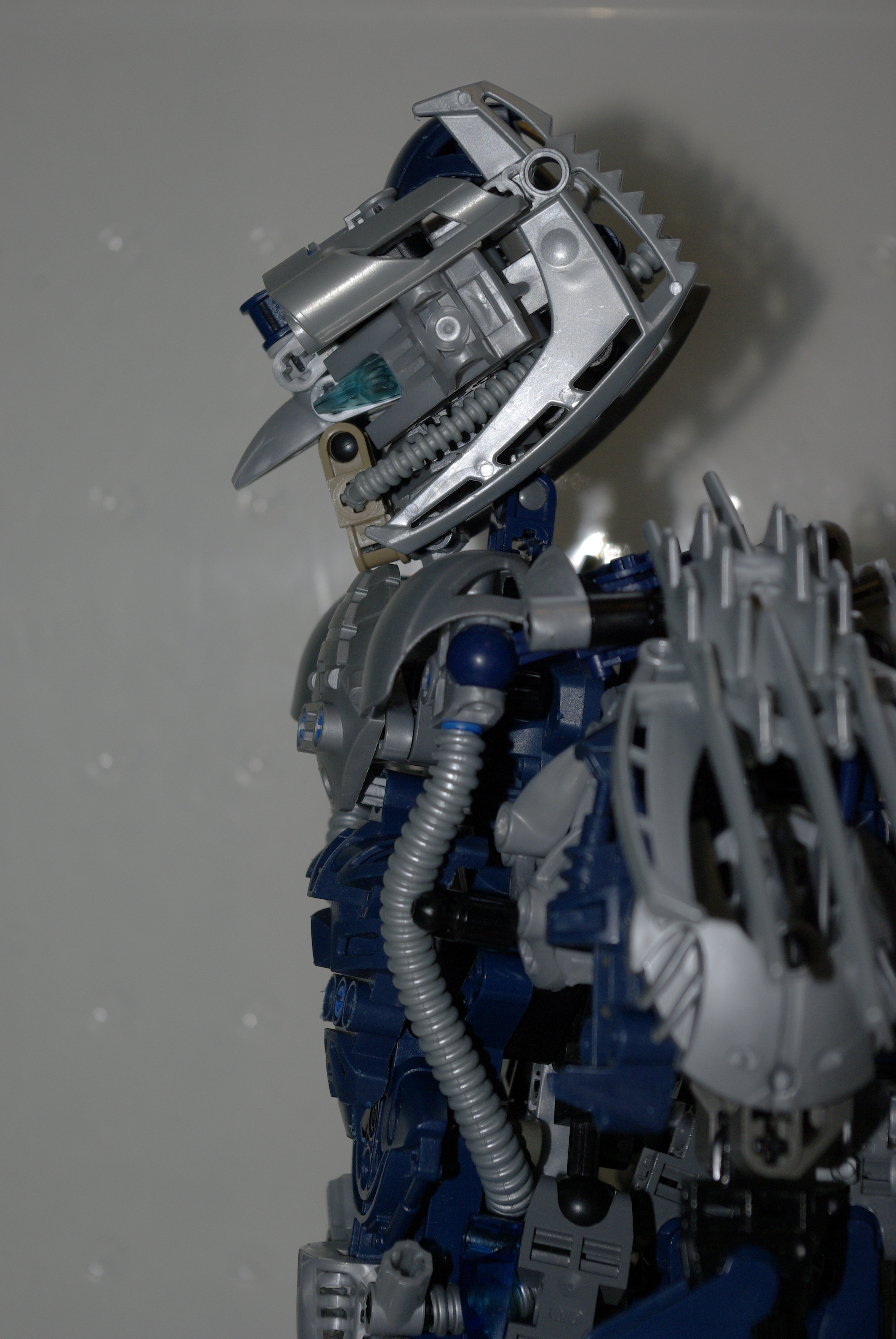 _igp4972.jpg