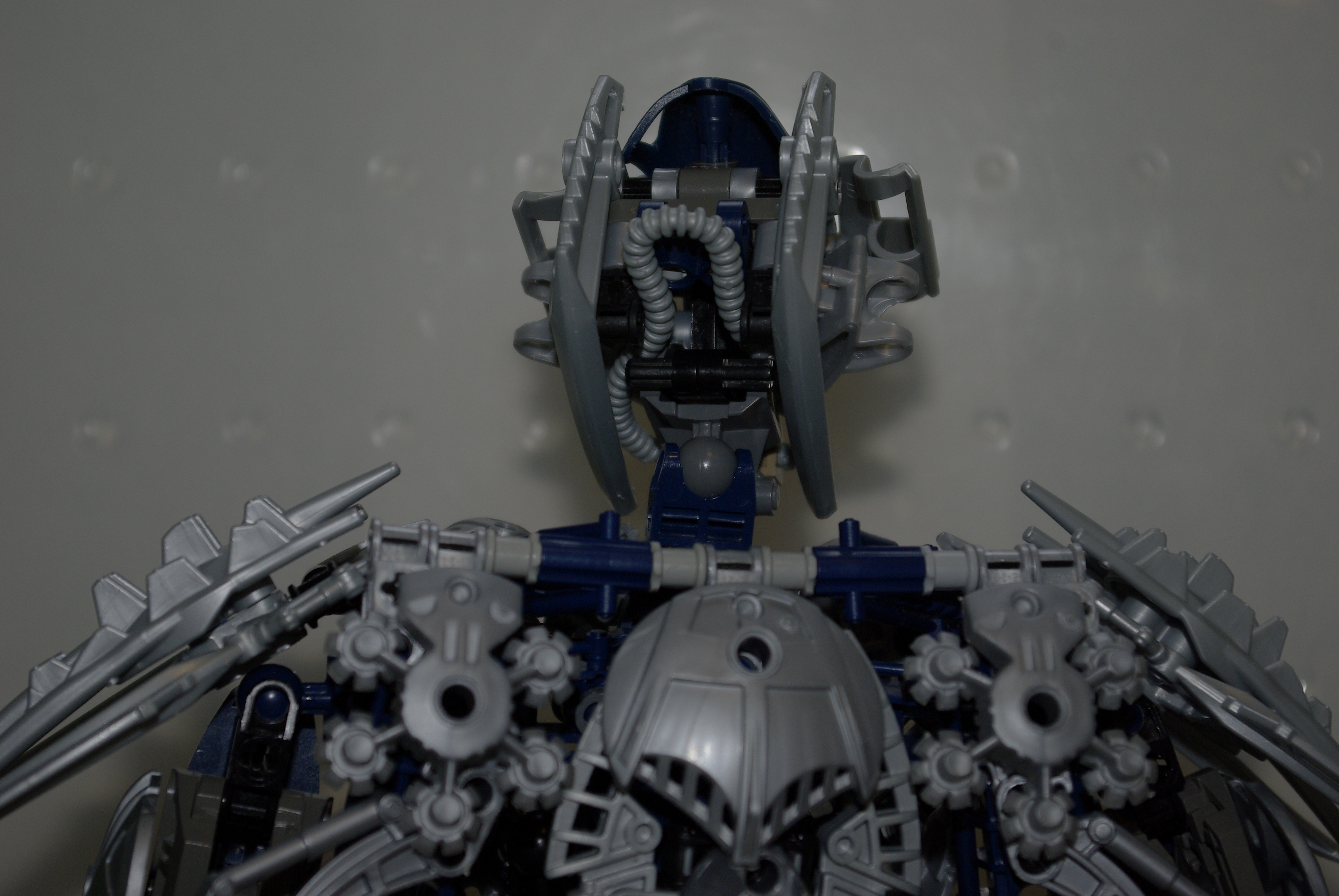 _igp4973.jpg