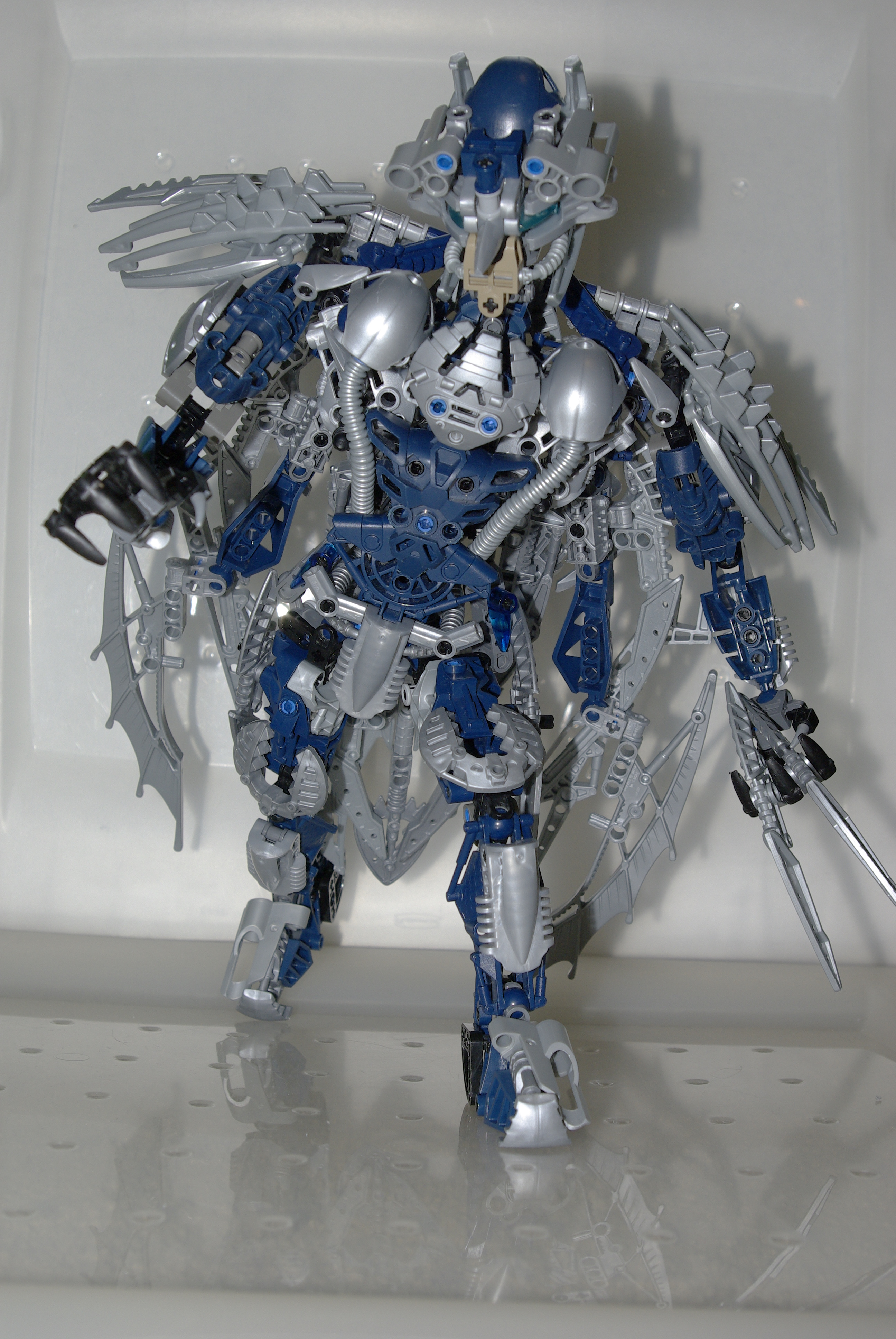 _igp4985.jpg