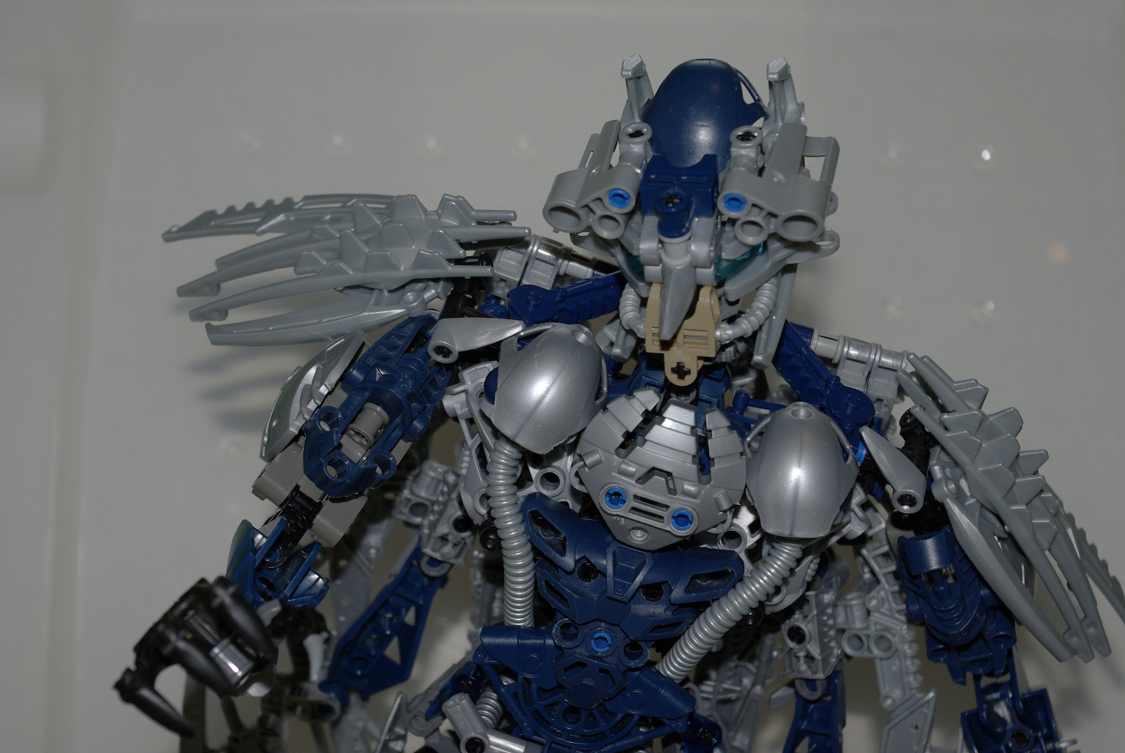 igp4987.jpg