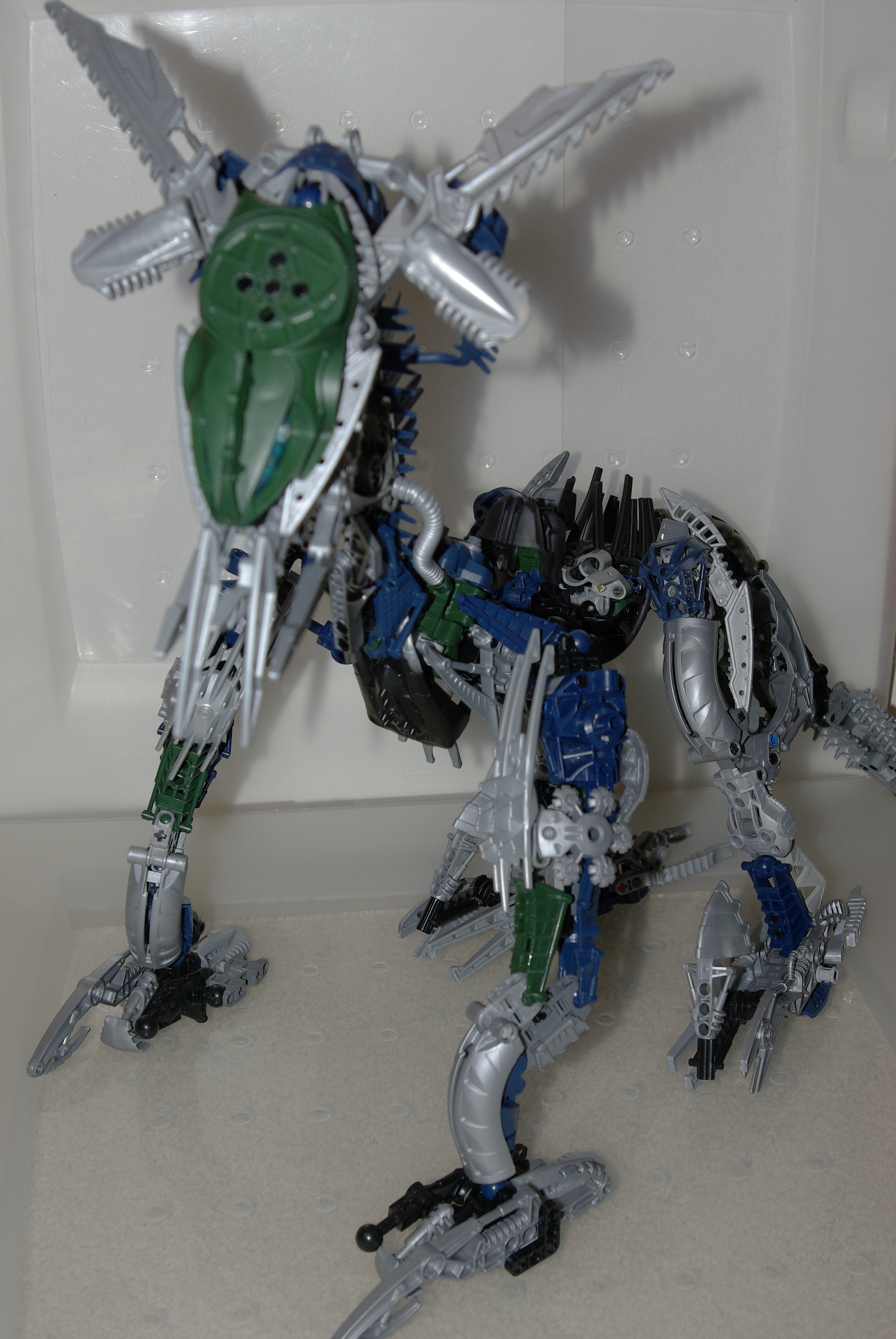 _igp4886.jpg