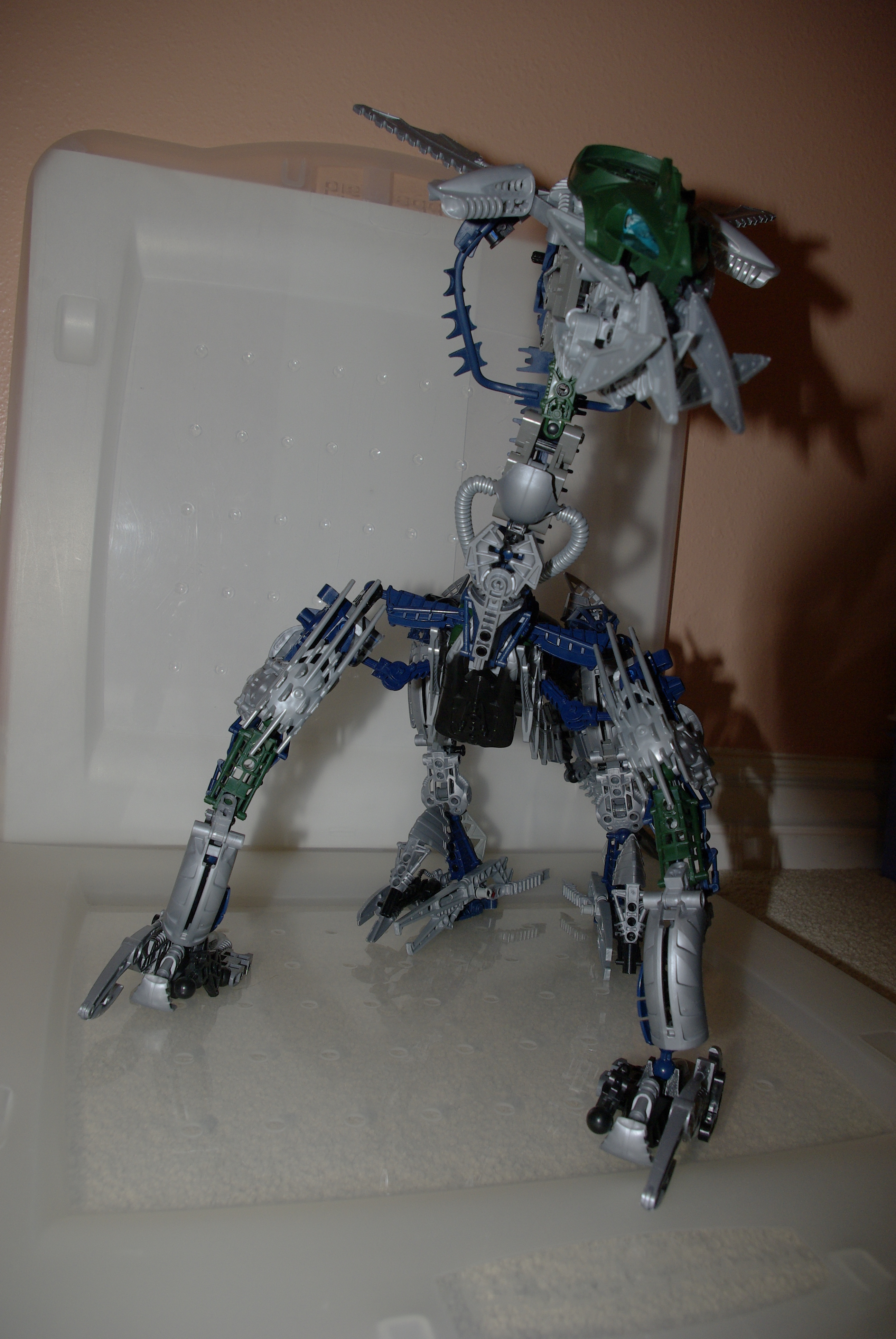 _igp4895.jpg