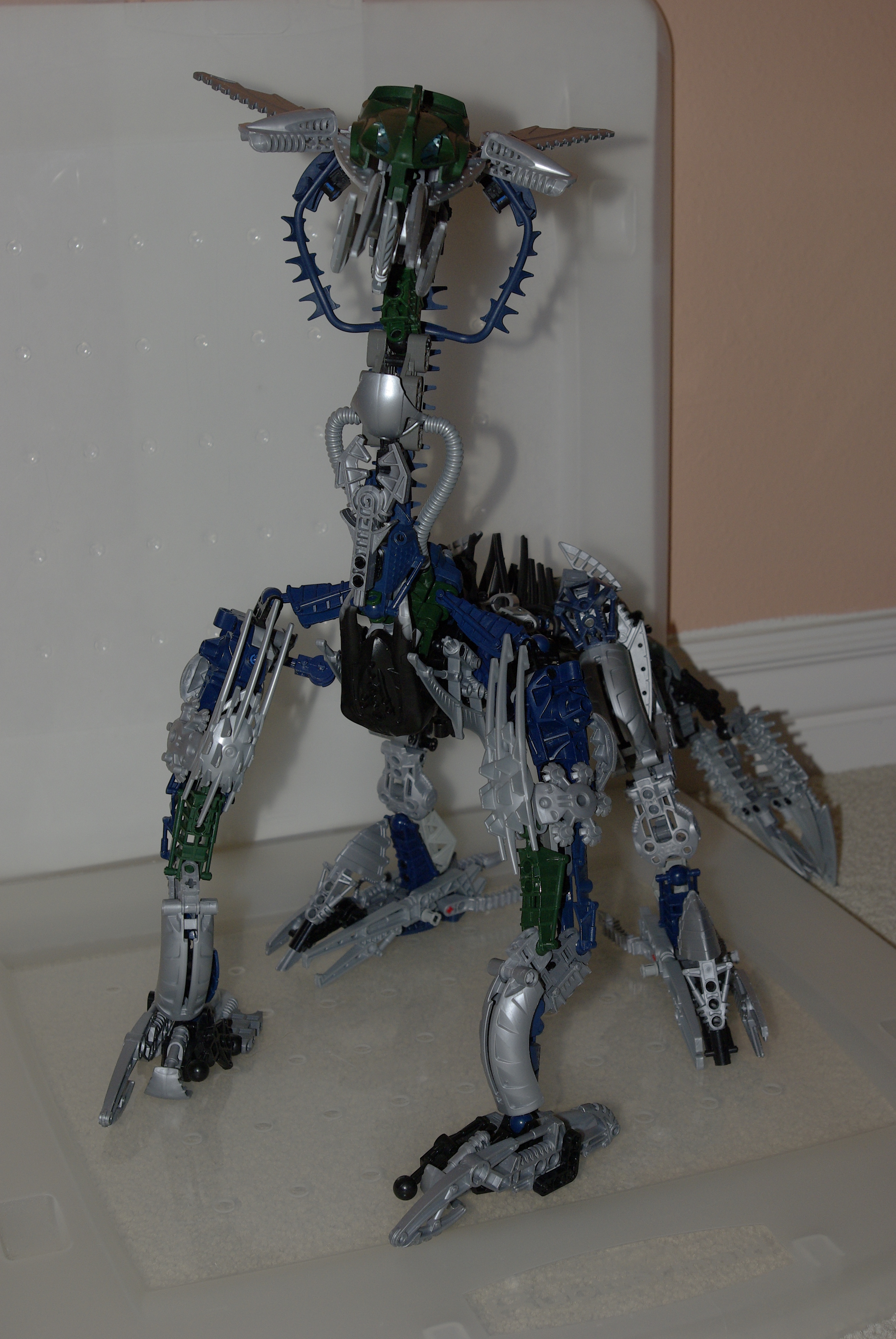 _igp4920.jpg