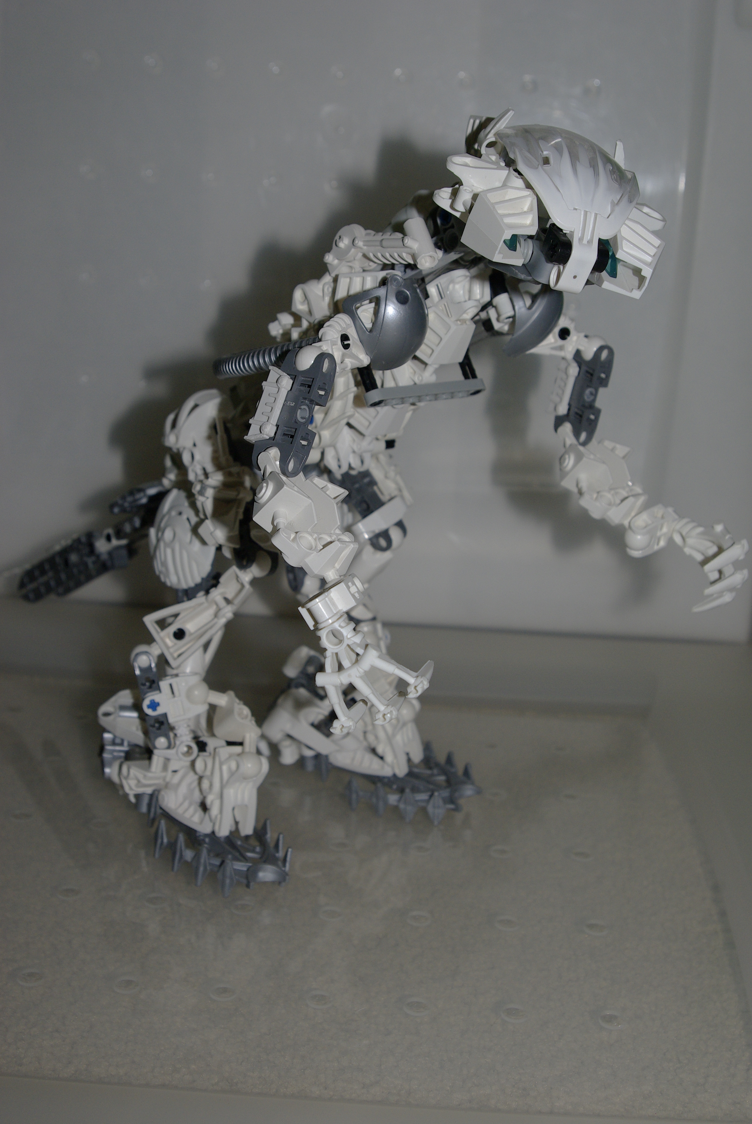 _igp3712.jpg