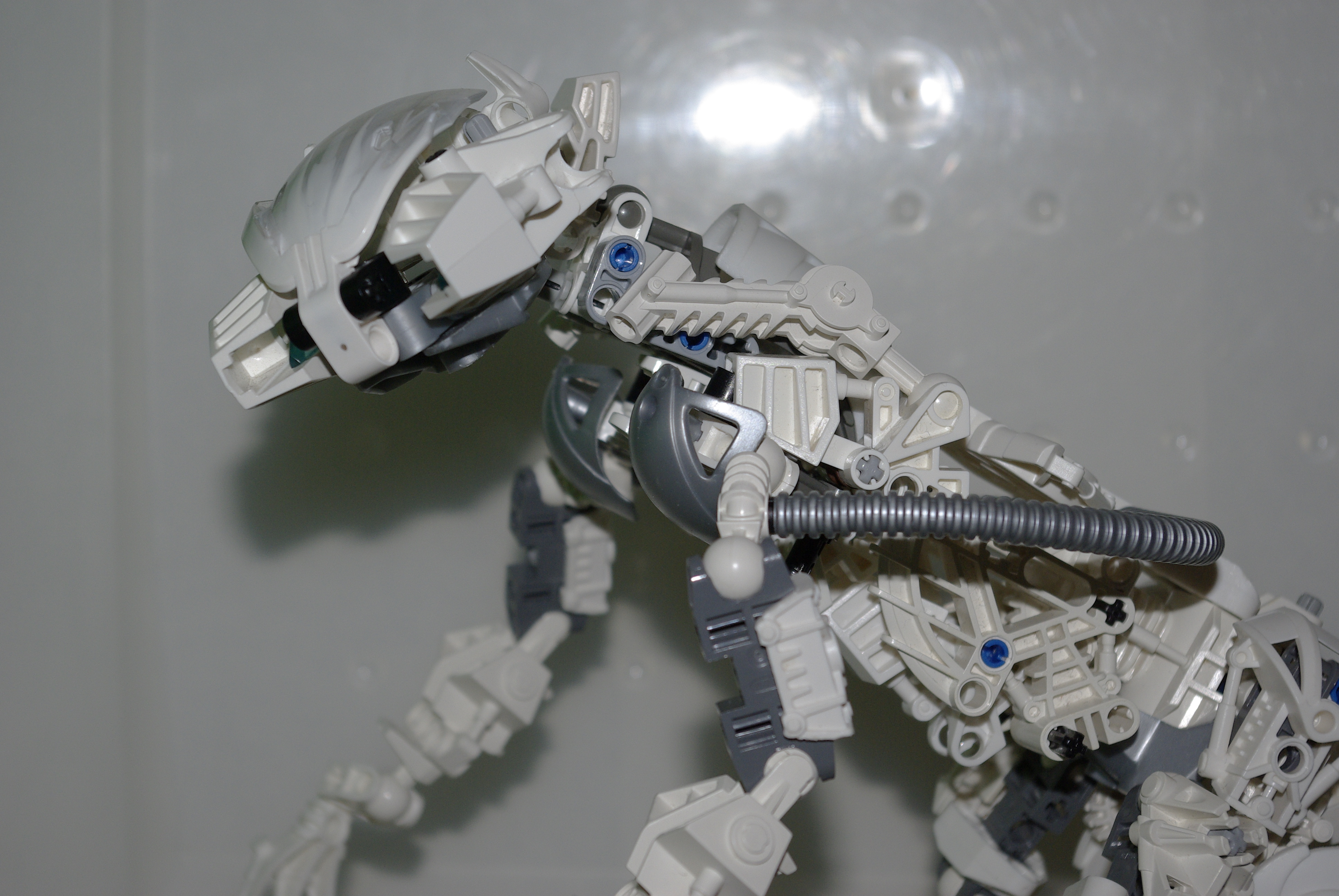 _igp3717.jpg