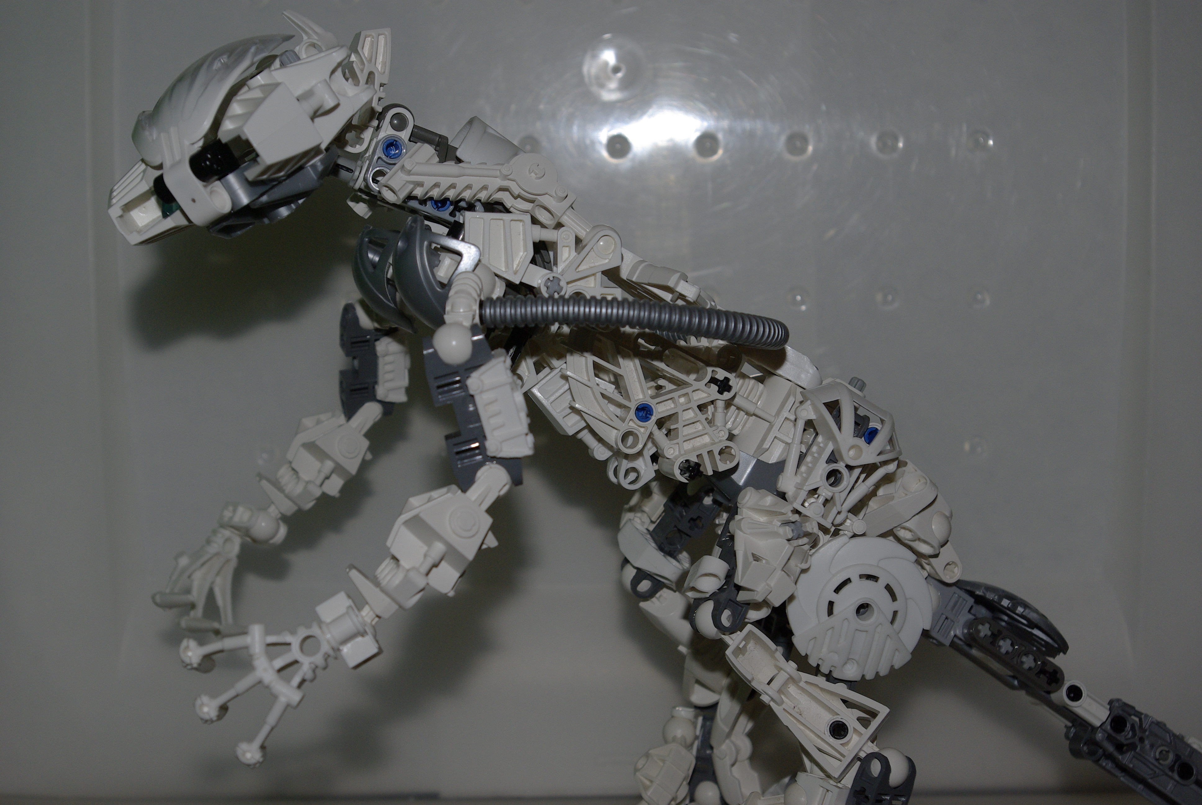 _igp3718.jpg