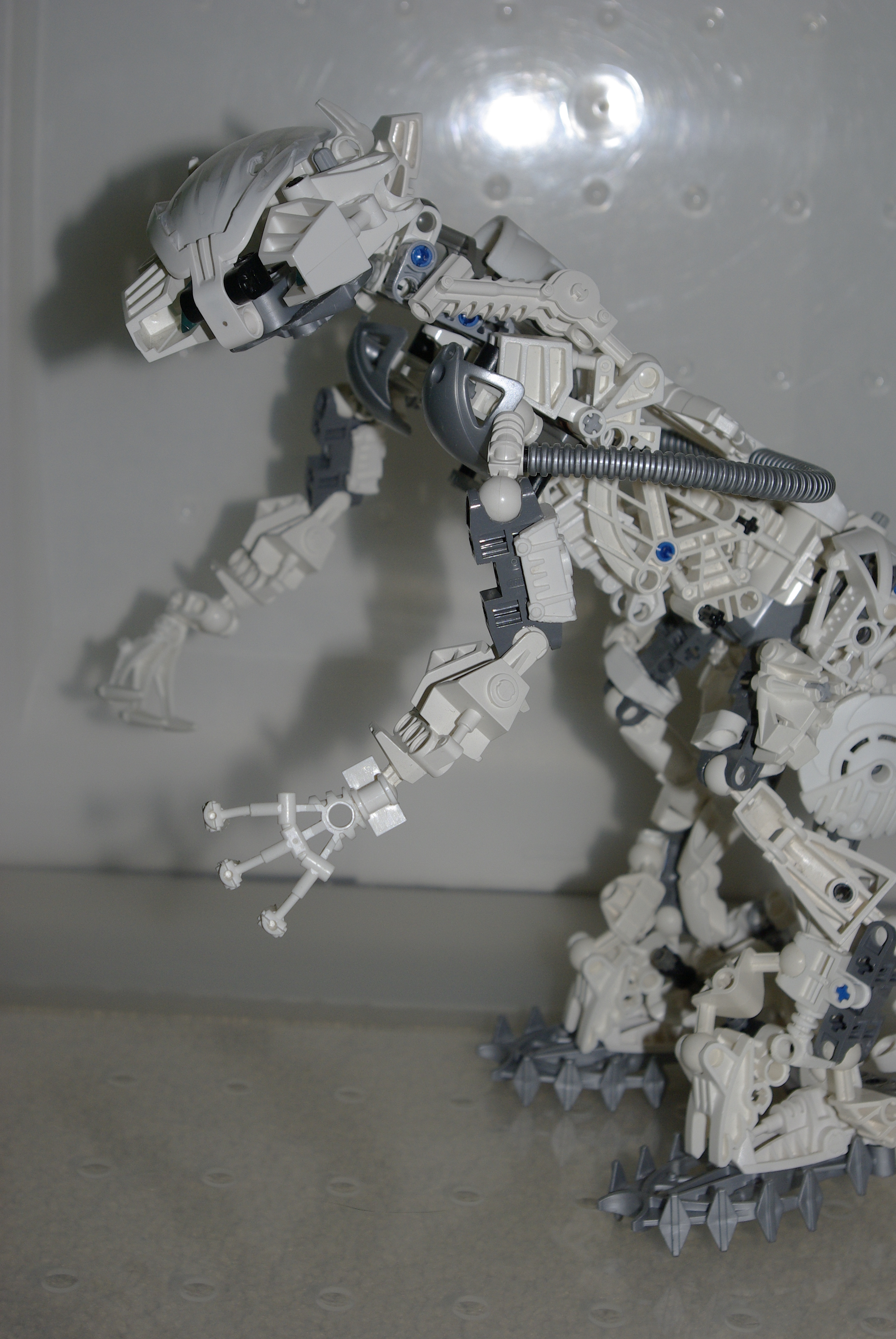 _igp3719.jpg