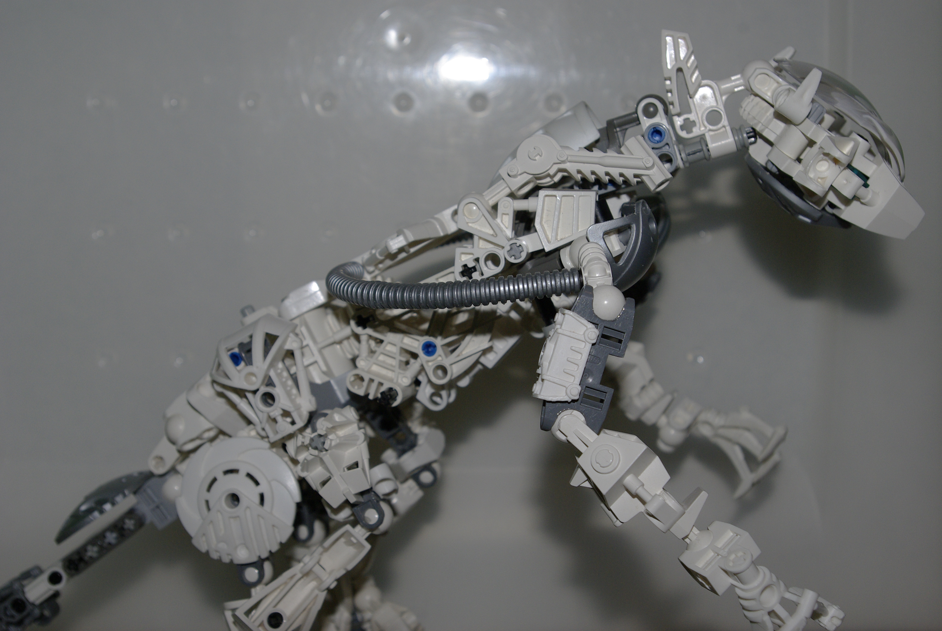 _igp3722.jpg