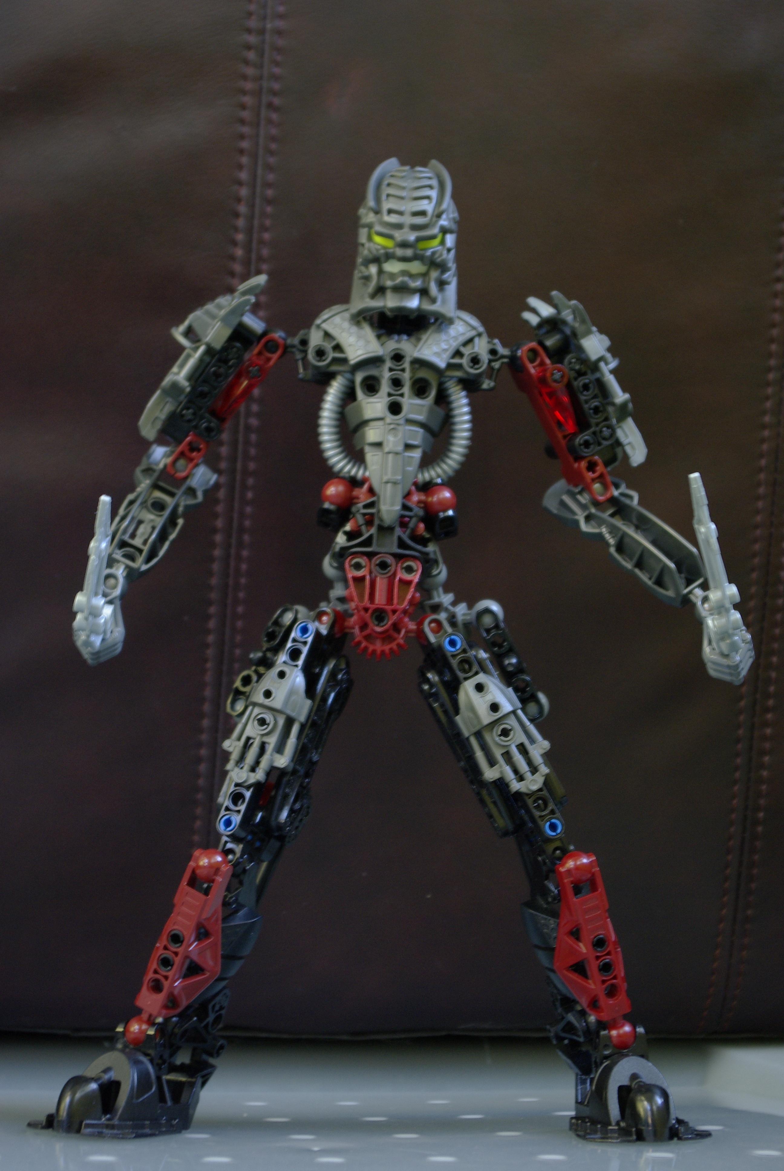 _igp2245.jpg