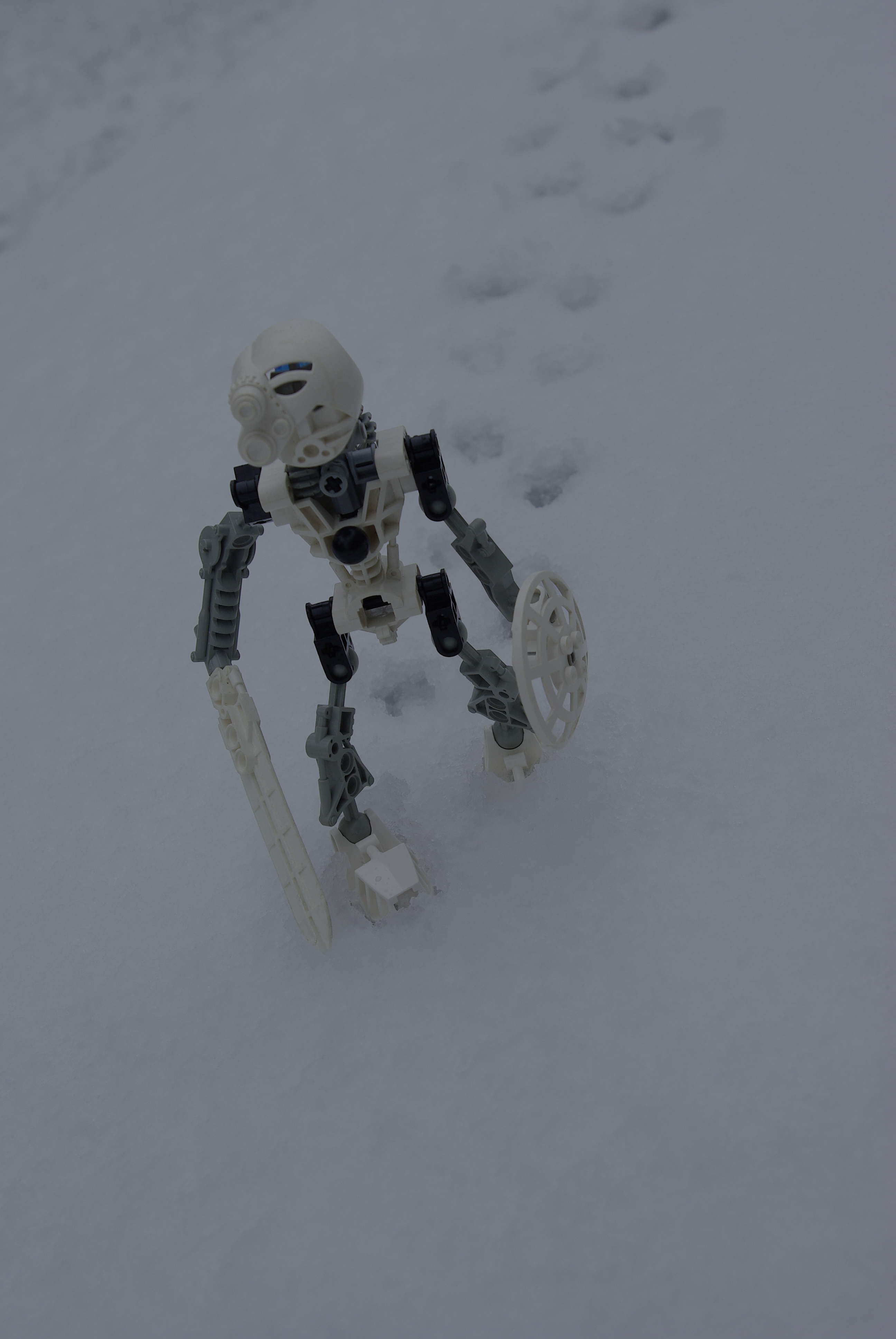 playinginthesnow.jpg