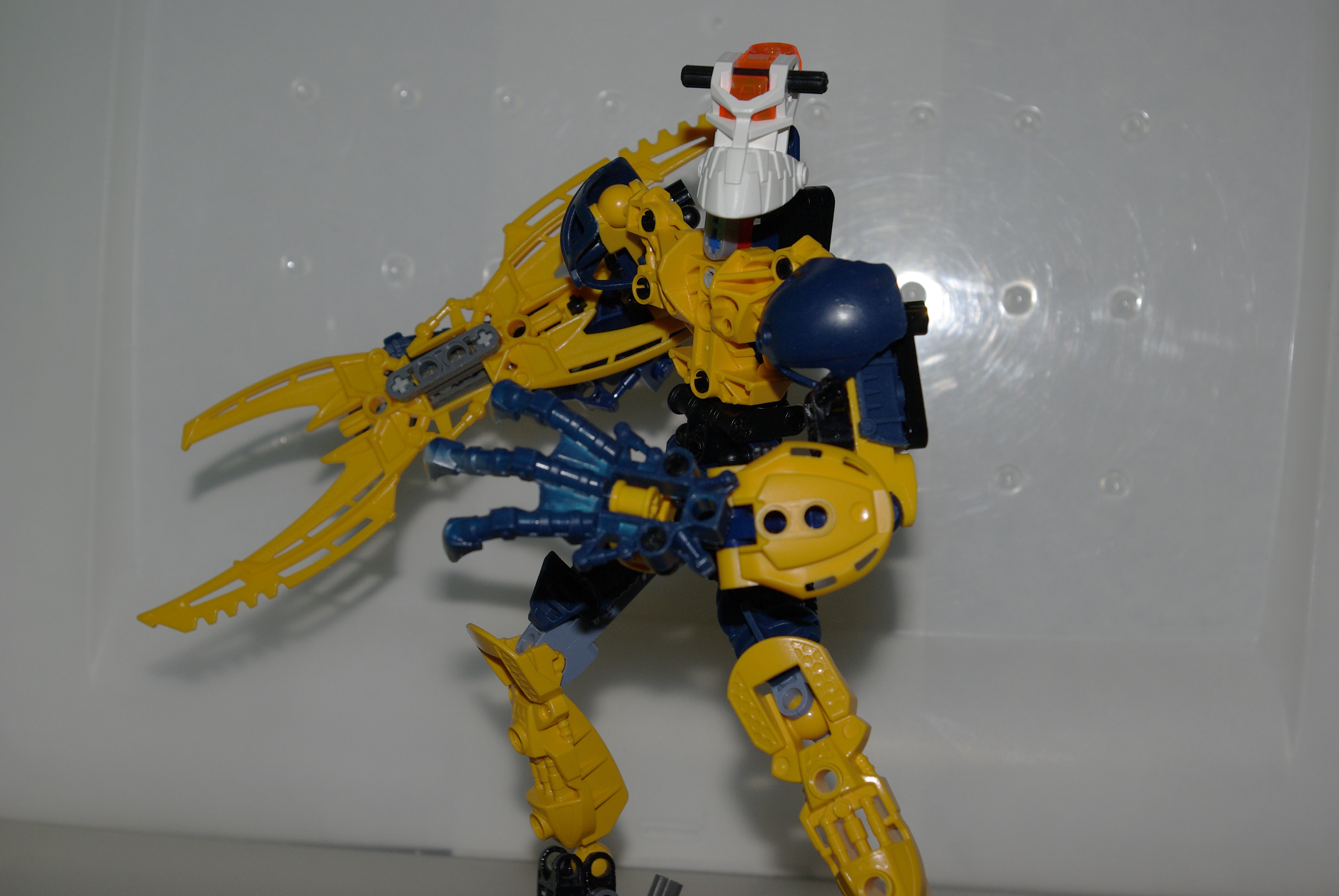 _igp3653.jpg