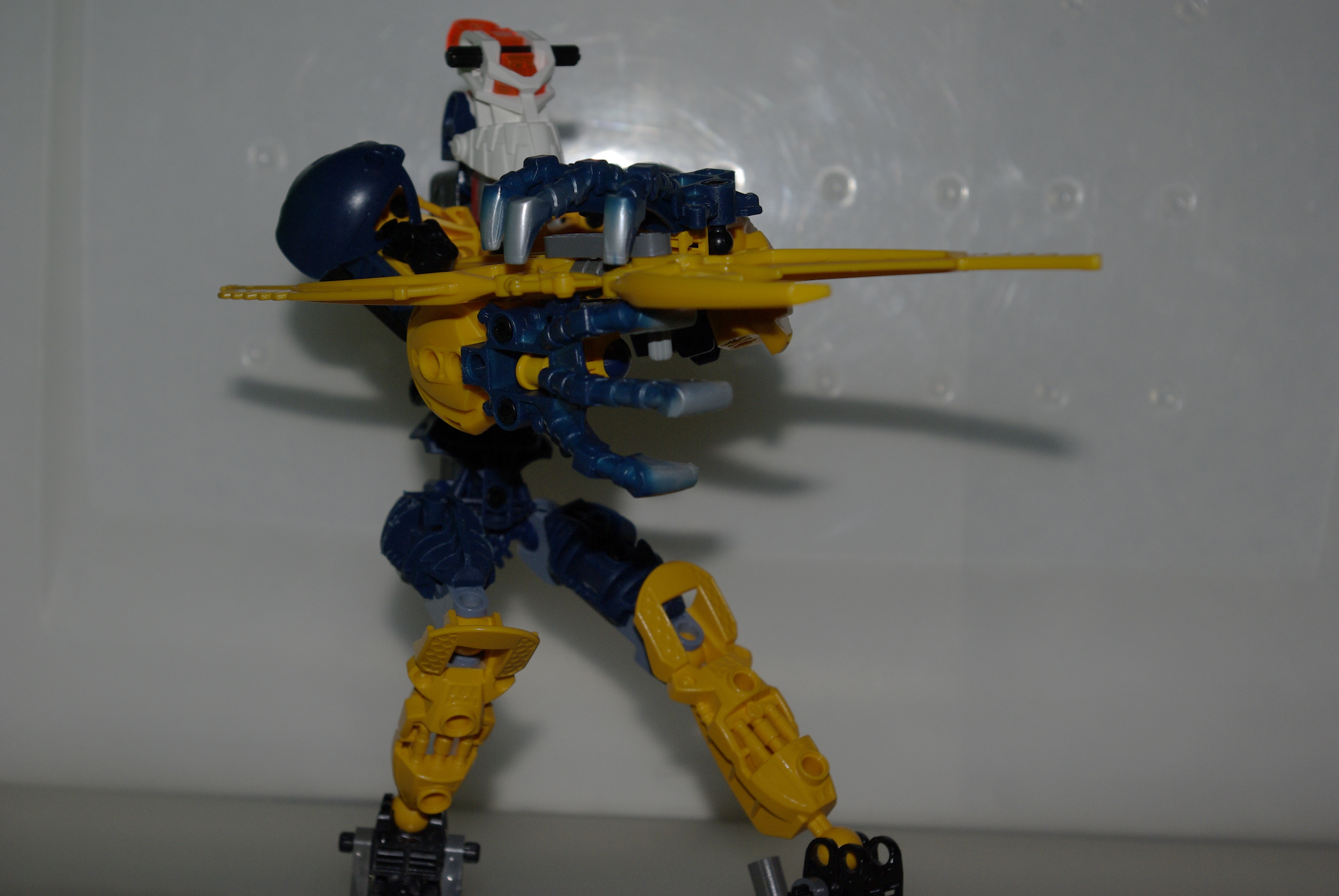 _igp3654.jpg