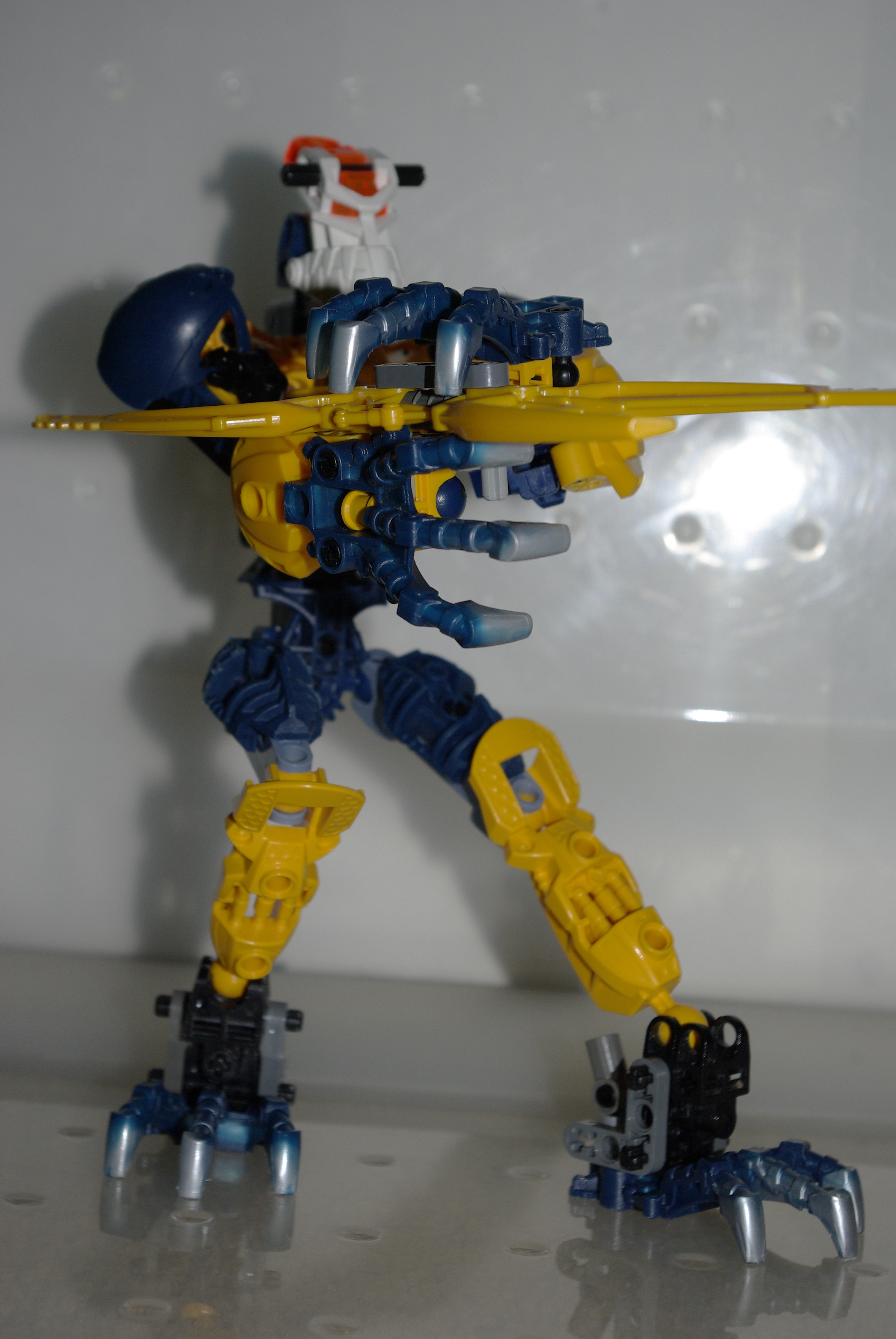 _igp3656.jpg