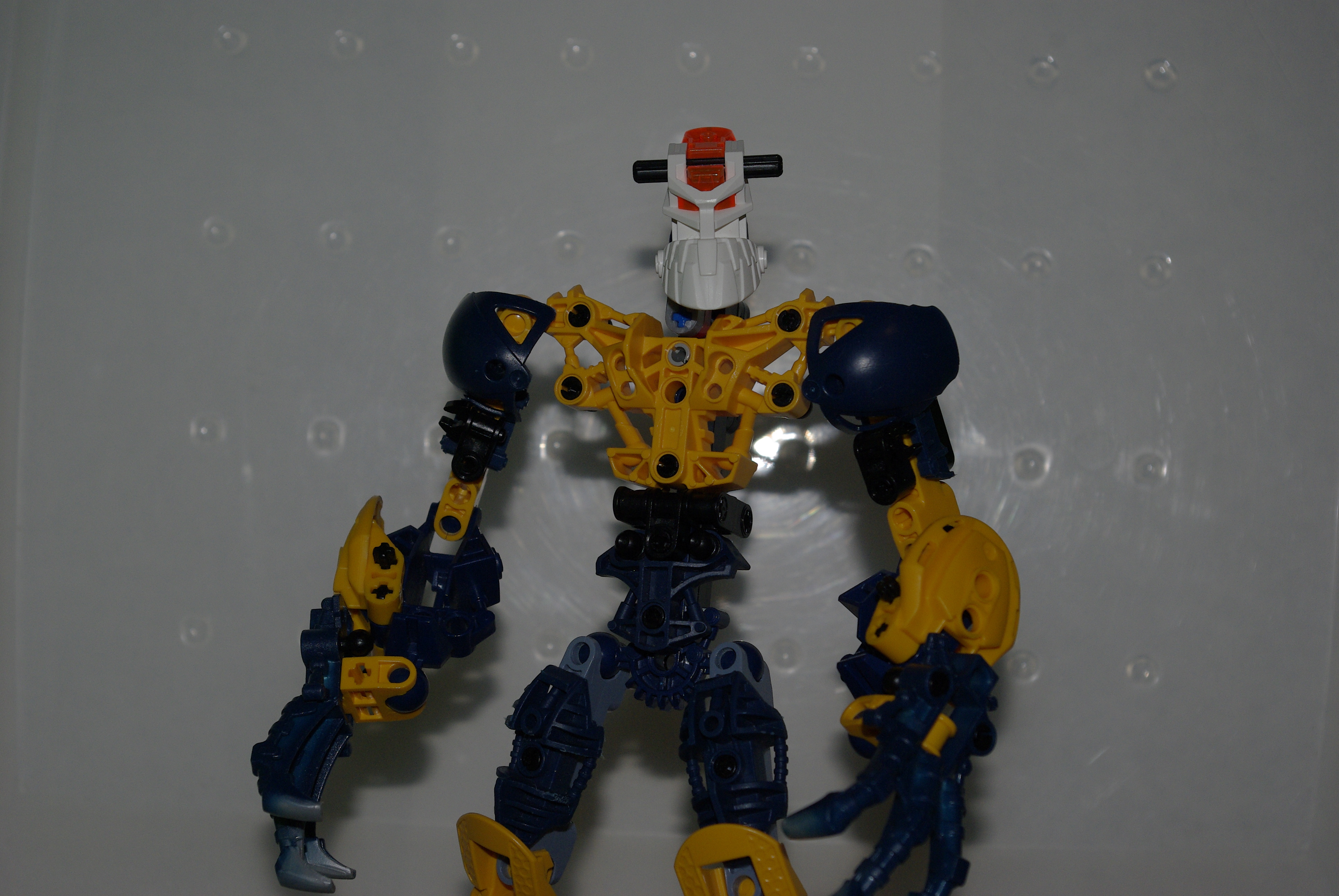 _igp3662.jpg
