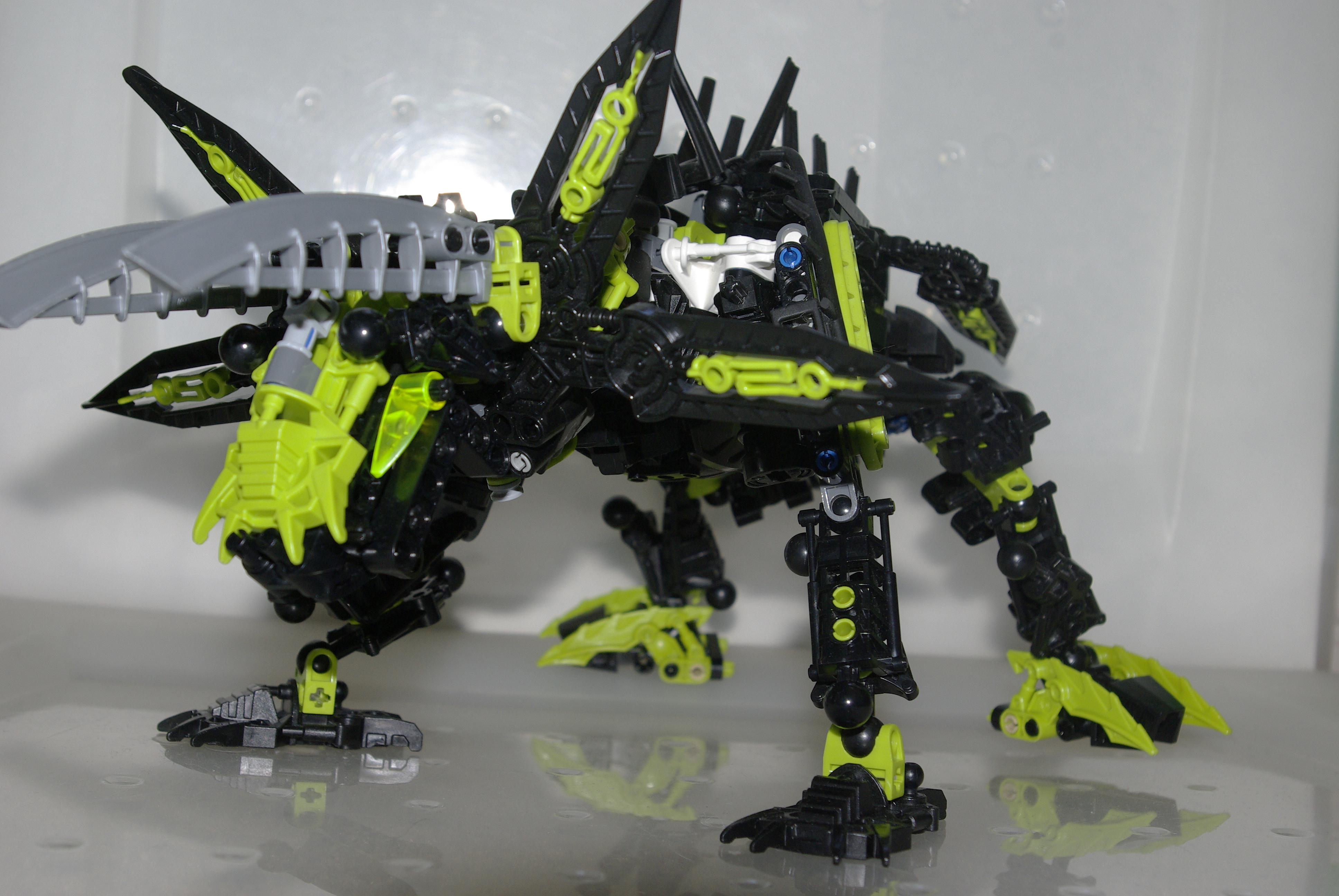 _igp4027.jpg
