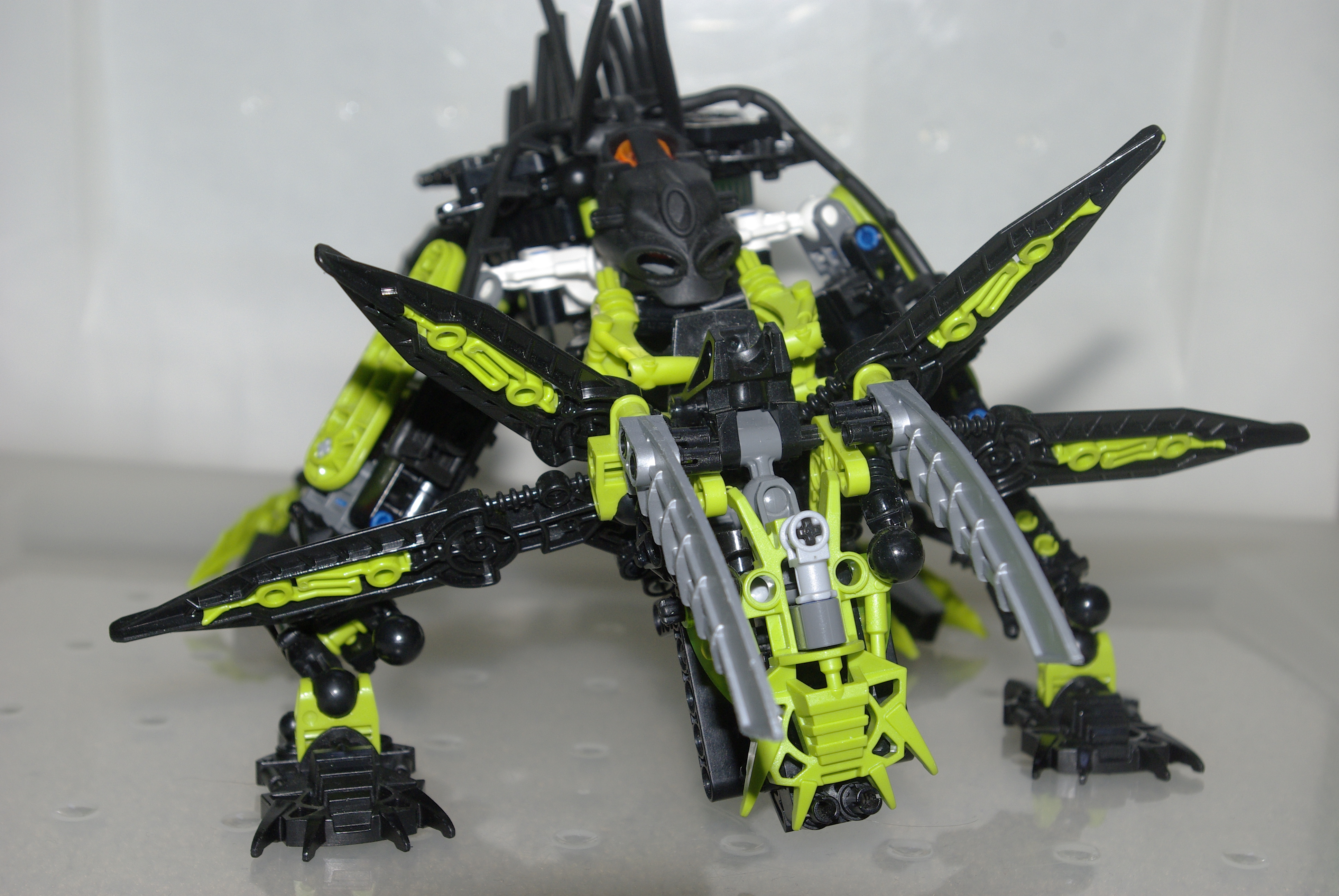 _igp4030.jpg