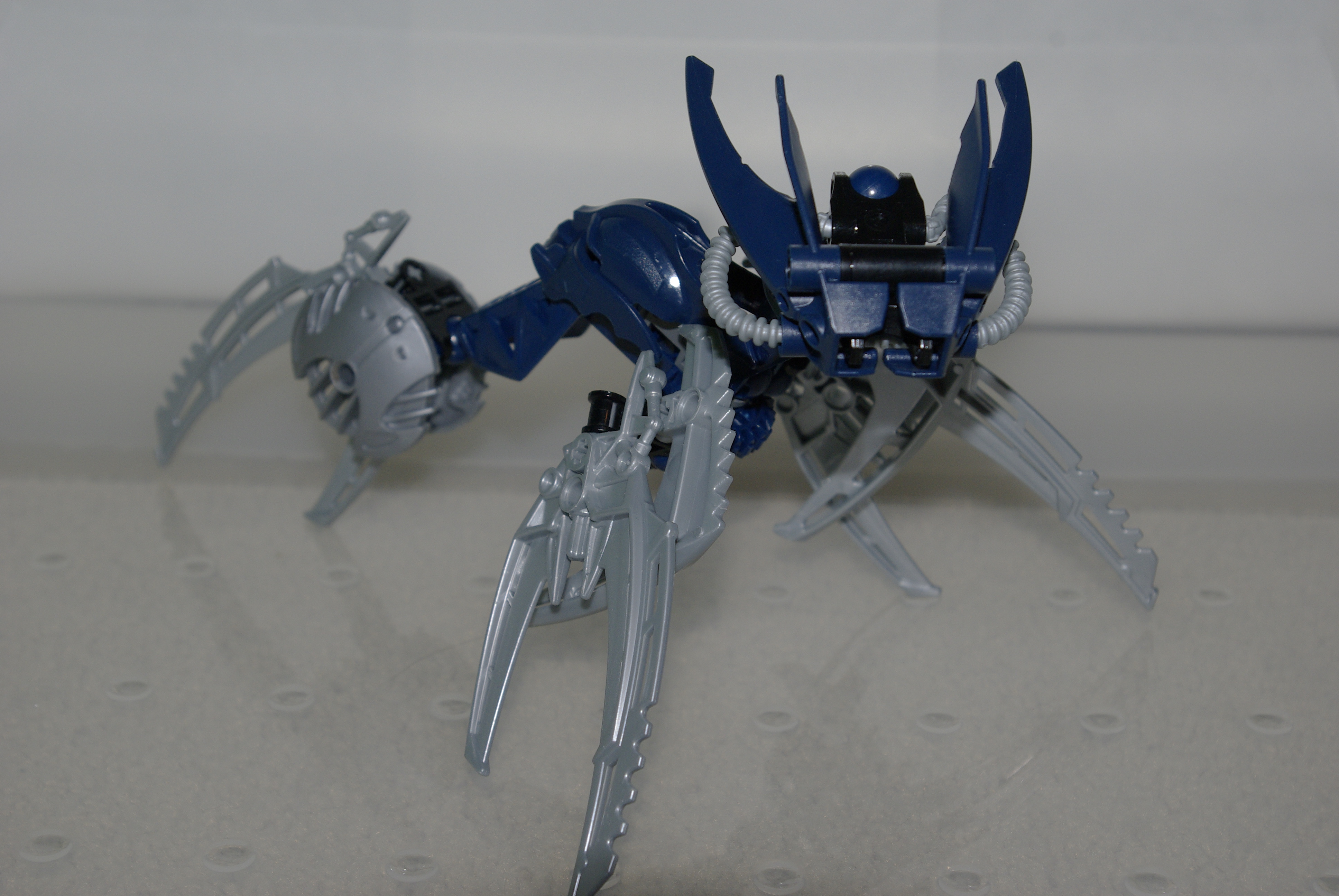 _igp3707.jpg