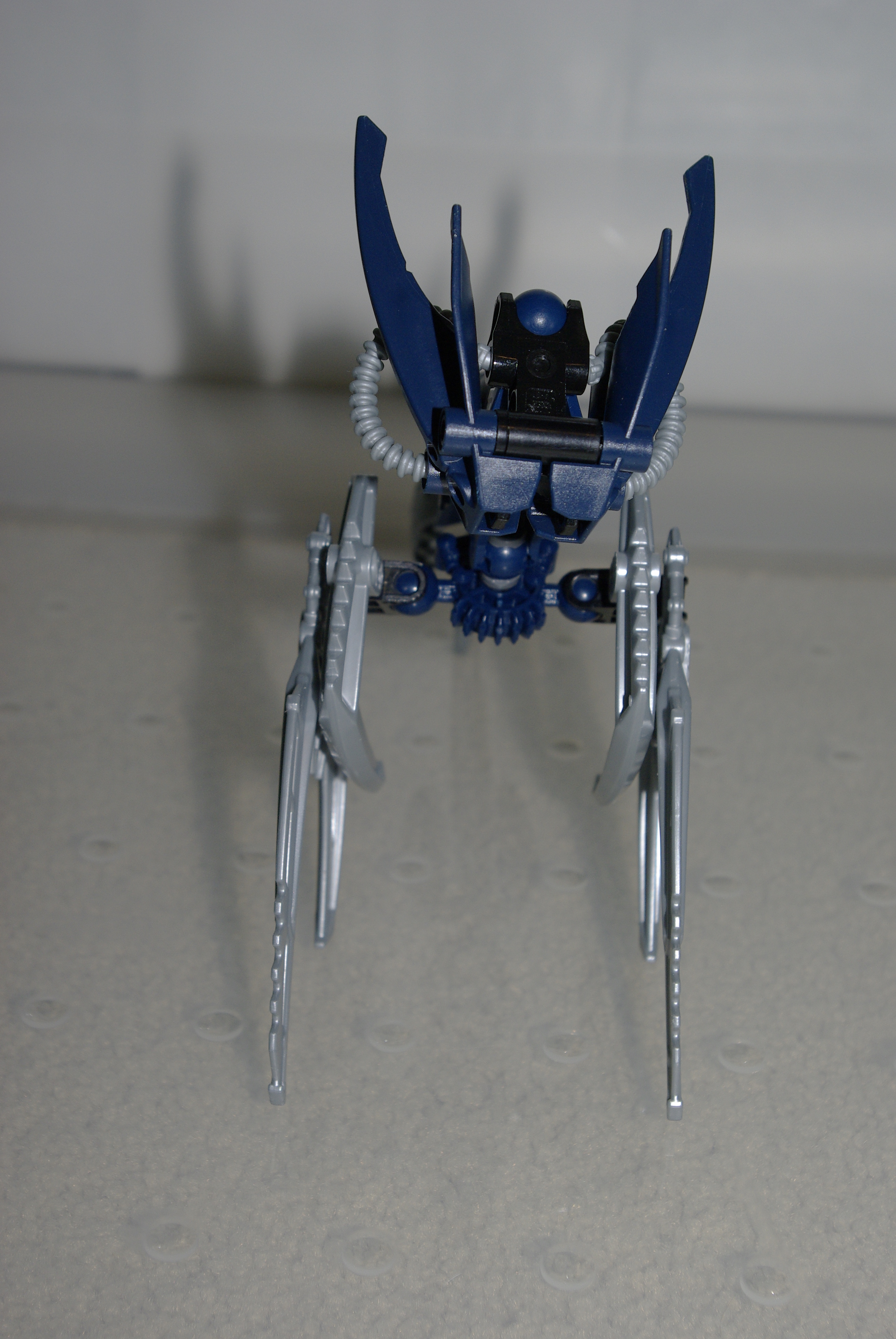 _igp3708.jpg