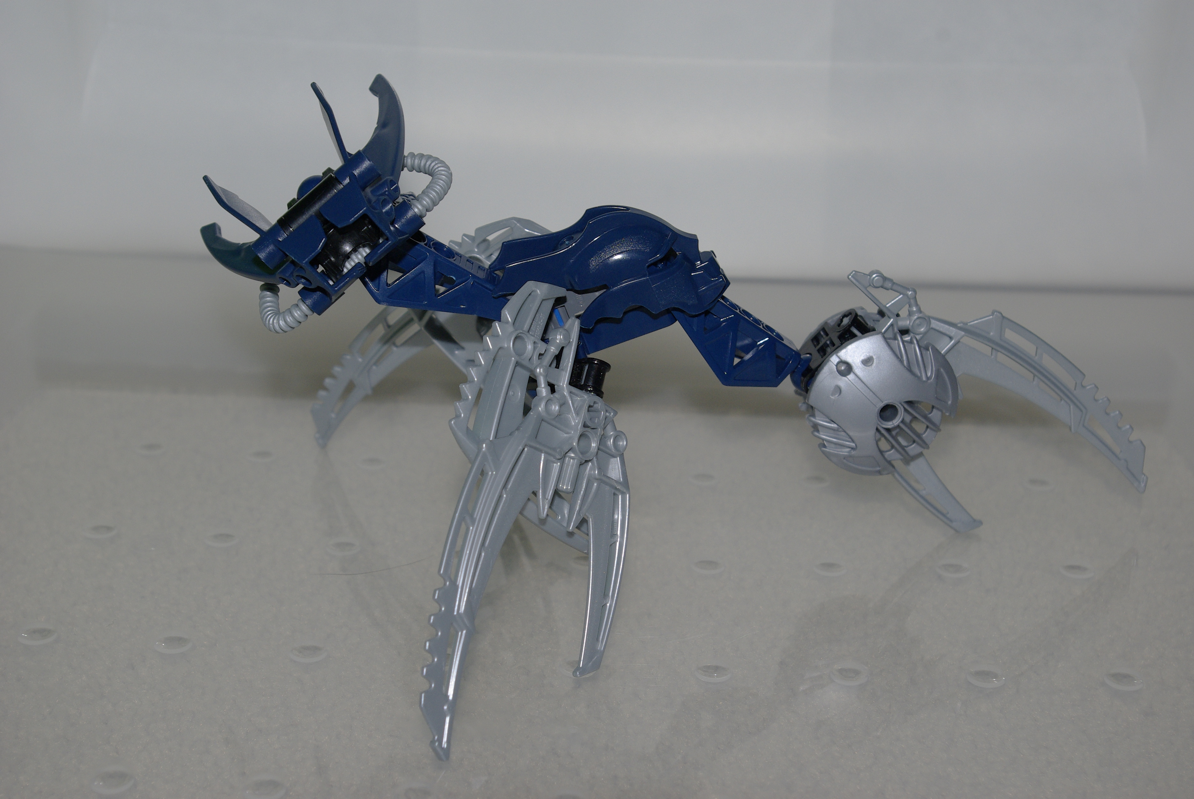 _igp3710.jpg