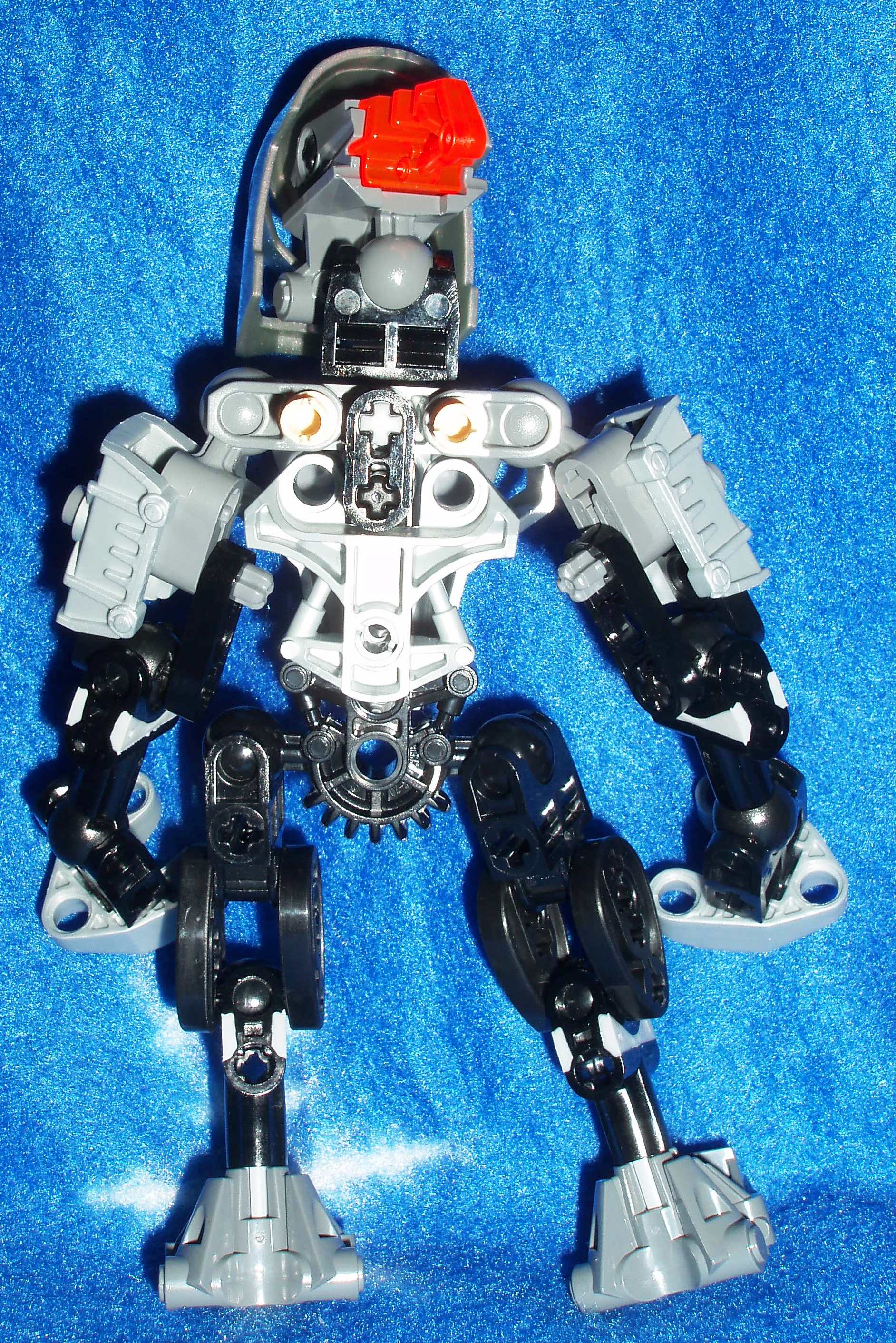 matoran_back_2.jpg