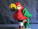 parrot