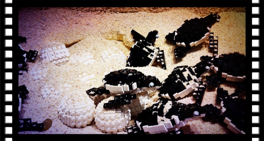 20110728_021.jpg