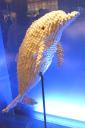 img_5518.jpg