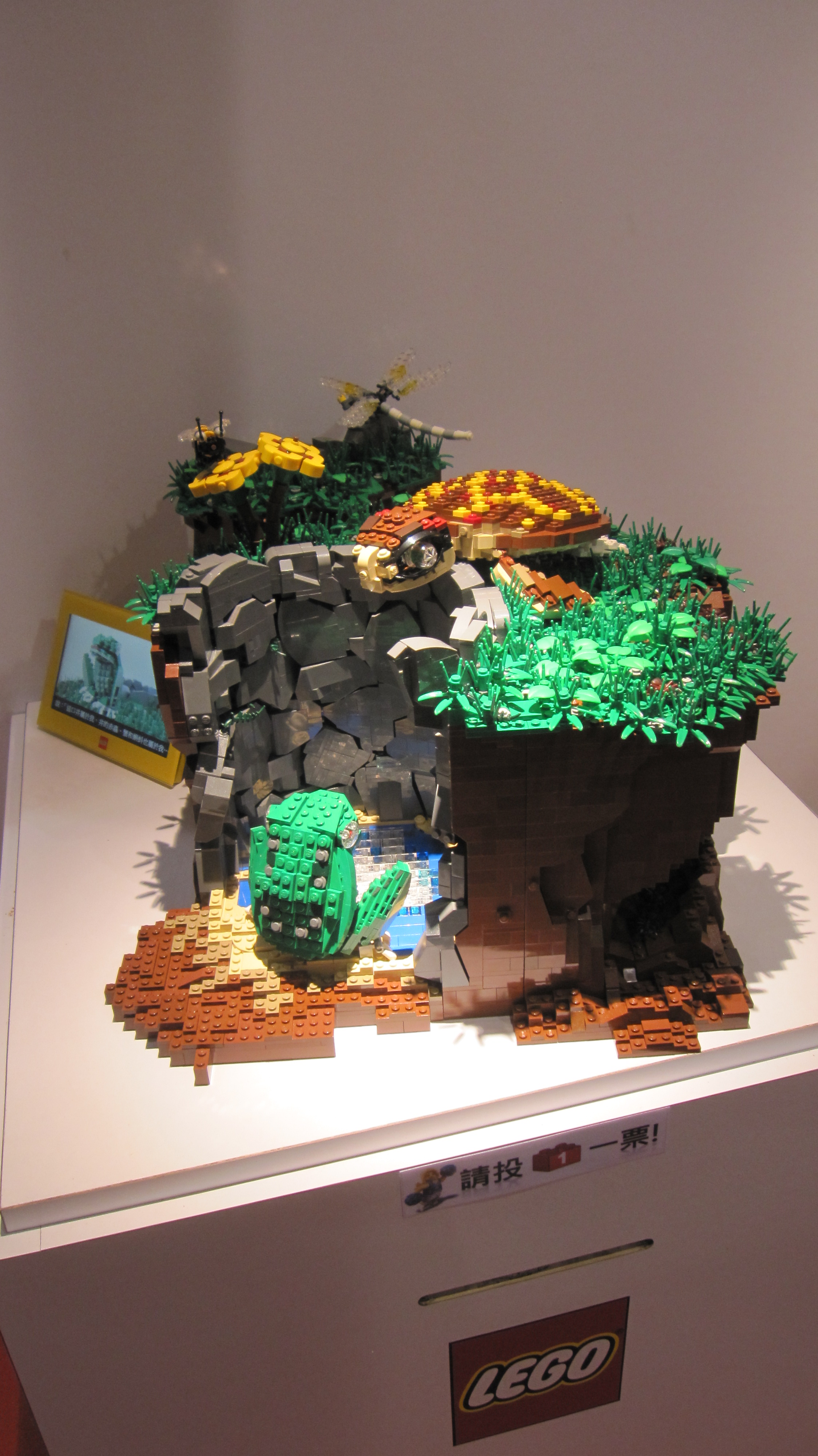 01_img_6690.jpg