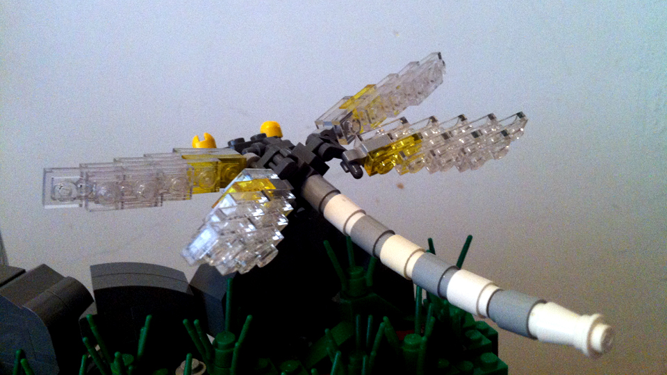 20120629.jpg