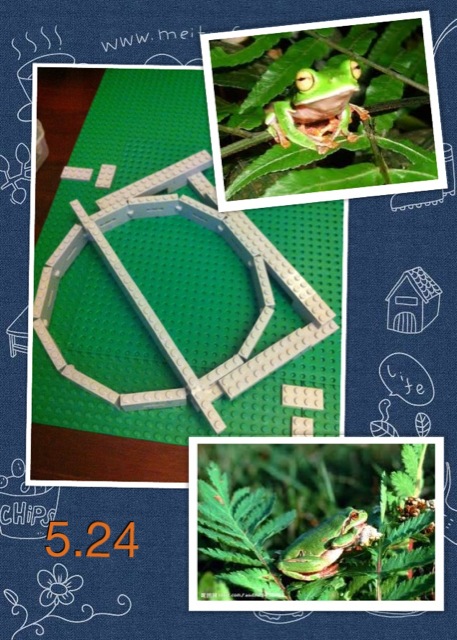 20120524.jpg