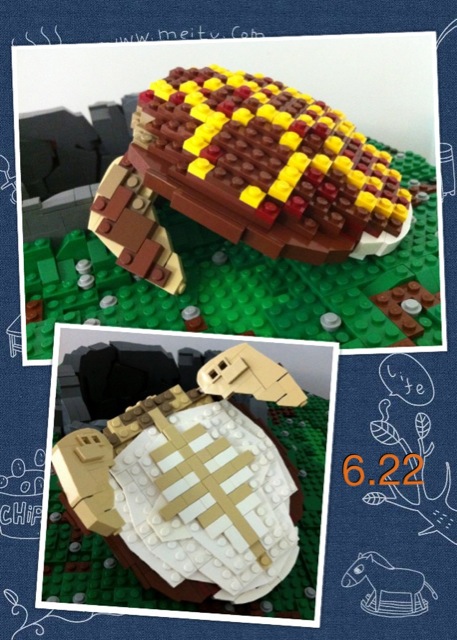 20120622.jpg