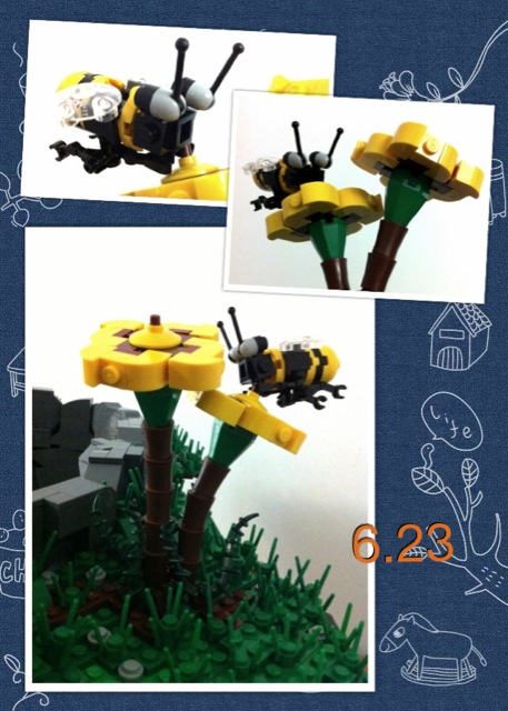20120623b.jpg