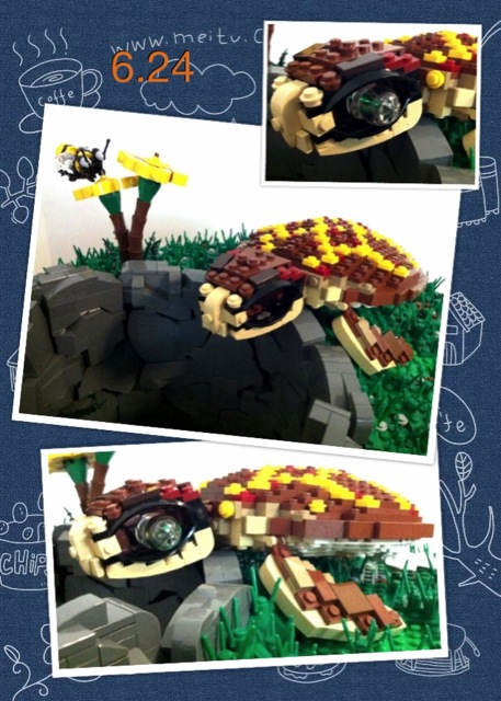 20120624a.jpg